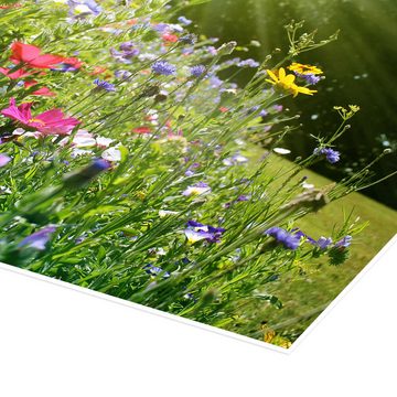 Posterlounge Poster Lichtspielart, Auf einer sonnigen Wildblumenwiese, Fotografie