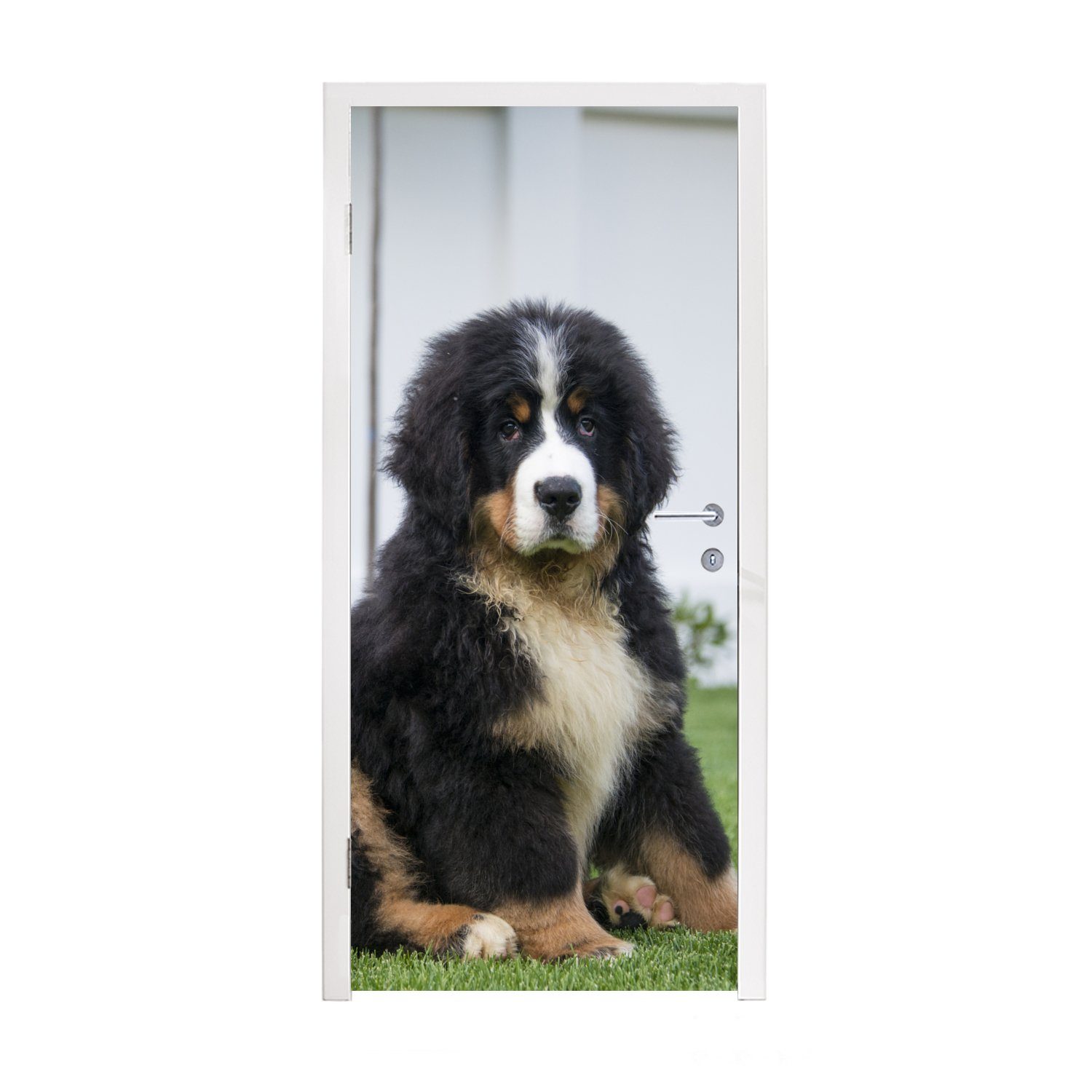 MuchoWow Türtapete Super süßer Berner Sennenhund Welpe, Matt, bedruckt, (1 St), Fototapete für Tür, Türaufkleber, 75x205 cm