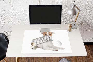 MuchoWow Gaming Mauspad Jack Russel Hund auf einem weißen Hintergrund (1-St), Büro für Tastatur und Maus, Mousepad Gaming, 90x60 cm, XXL, Großes