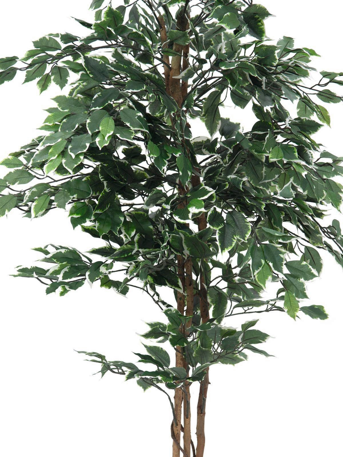 Kunstbaum Deko Birkenfeige, 1010 Blätter, grün-weiß, Naturstamm, 180cm Ficus (Ficus benjamini), artplants, Höhe 180.0 cm