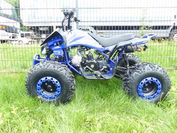 KXD Quad 125ccm Quad ATV Kinder Quad Pitbike 4 Takt Quad 8 Zoll KXD 004 Blau