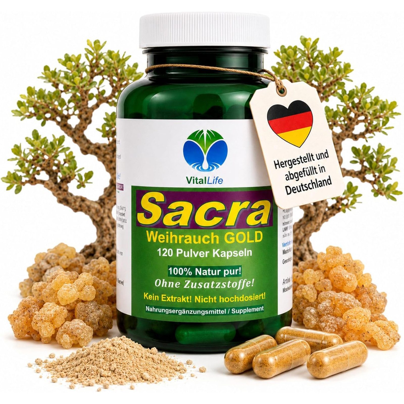 VitalLife Weihrauch Boswellia Sacra Gold – Reines Olibanum Harz ohne Zusätze Kapseln, 1 er Dose à 120 St., 54 g, Art. 26386-120