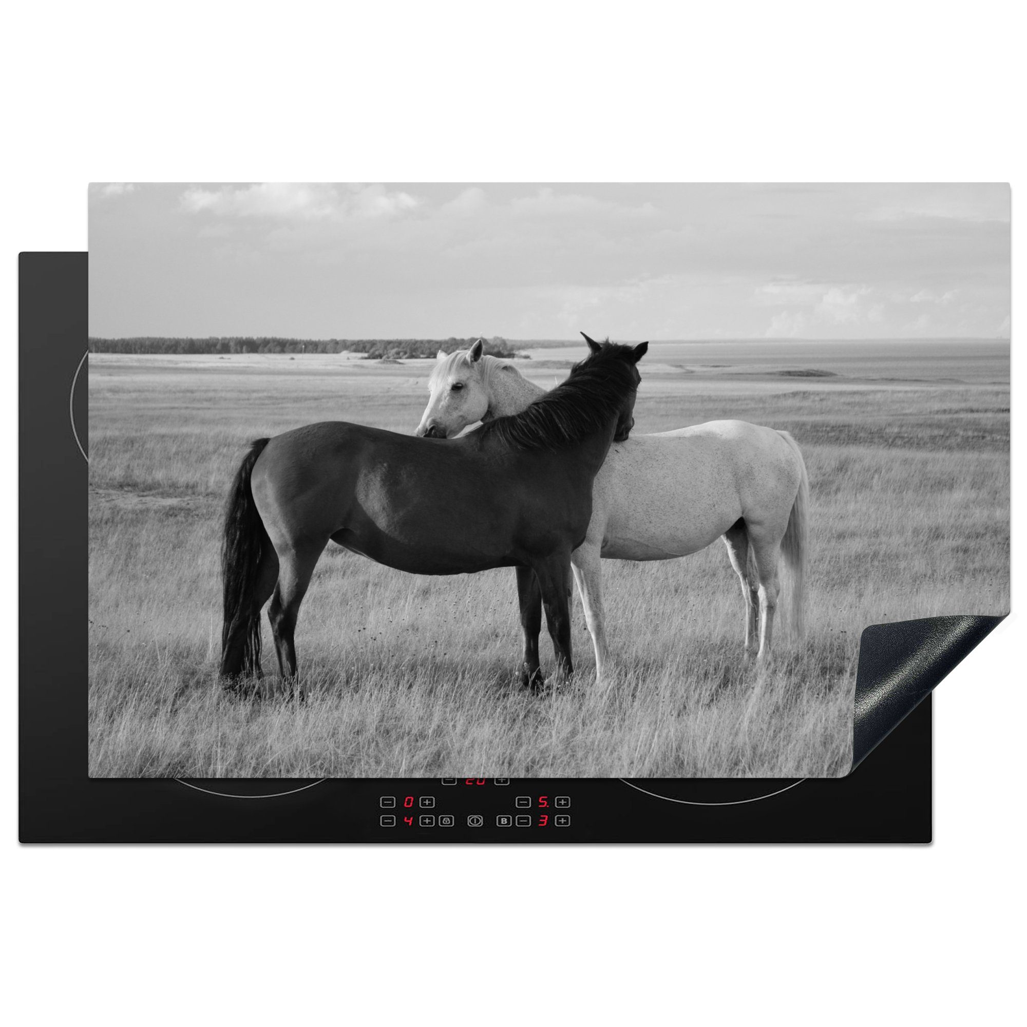 MuchoWow Herdblende-/Abdeckplatte Pferde - Tiere - Porträt - Schwarz-Weiß - Landleben, Vinyl, (1 tlg), 81x52 cm, Ceranfeldabdeckung, Arbeitsplatte für küche