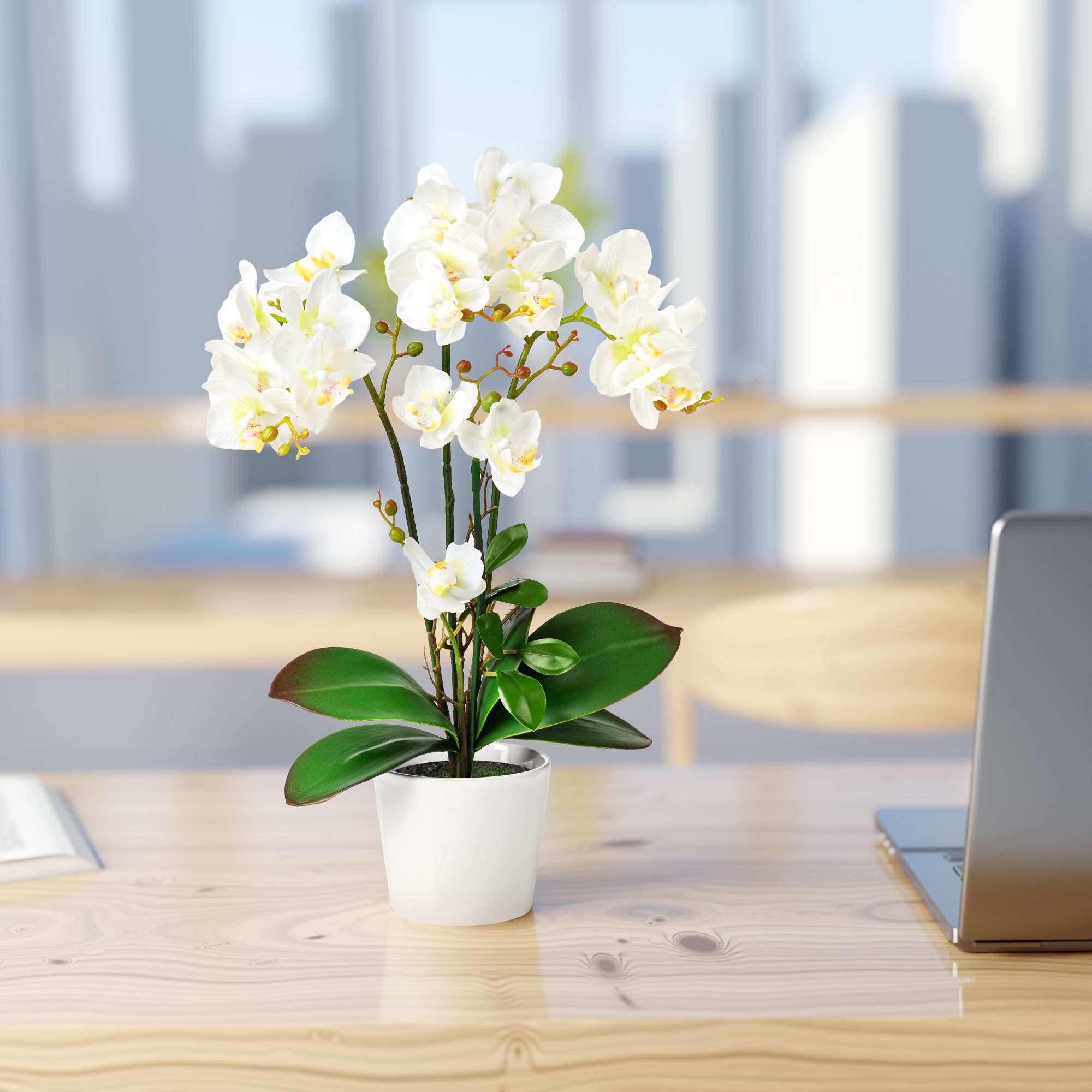 Kunstorchidee PASCH® Orchidee künstlich wie echt (46cm) in Hochglanz-Kerami günstig online kaufen