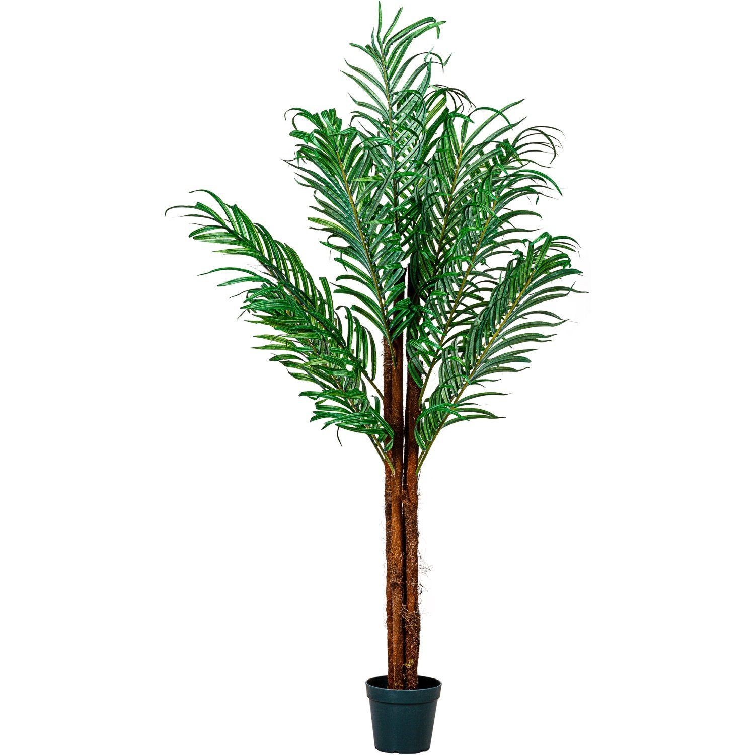 Kunstbaum Künstliche Kokos Palme Kunstpflanze Kunstbaum Kokos Palme, PLANTASIA, Höhe 160,00 cm, 160 cm, 420 Blätter, Echtholzstamm