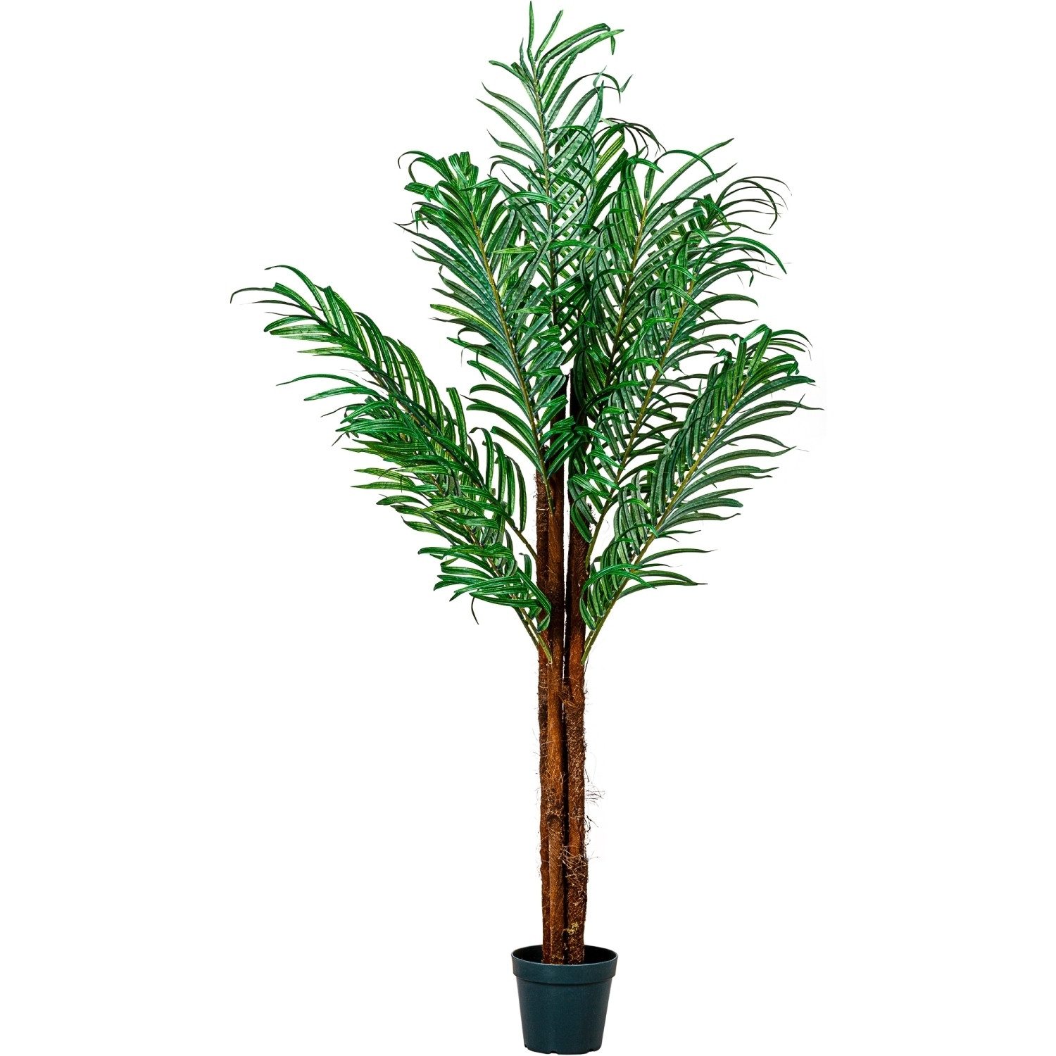 Kunstbaum Künstliche Kokos Palme Kunstpflanze Kunstbaum Kokos Palme, PLANTASIA, Höhe 160,00 cm, 160 cm, 420 Blätter, Echtholzstamm