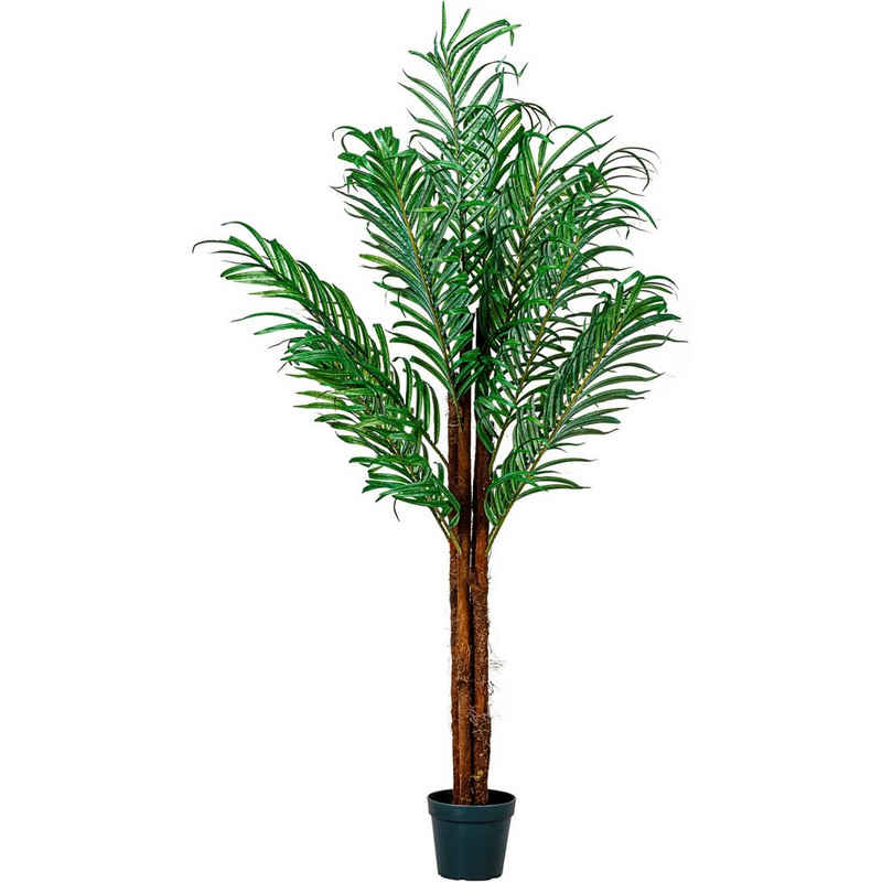 Kunstbaum »PLANTASIA® Kokos-Palme, Kunstbaum, Kunstpflanze« Palme, PLANTASIA, Höhe 160,00 cm, Echtholzstamm, Kunstpalme - 160 cm, Schadstoffgeprüft