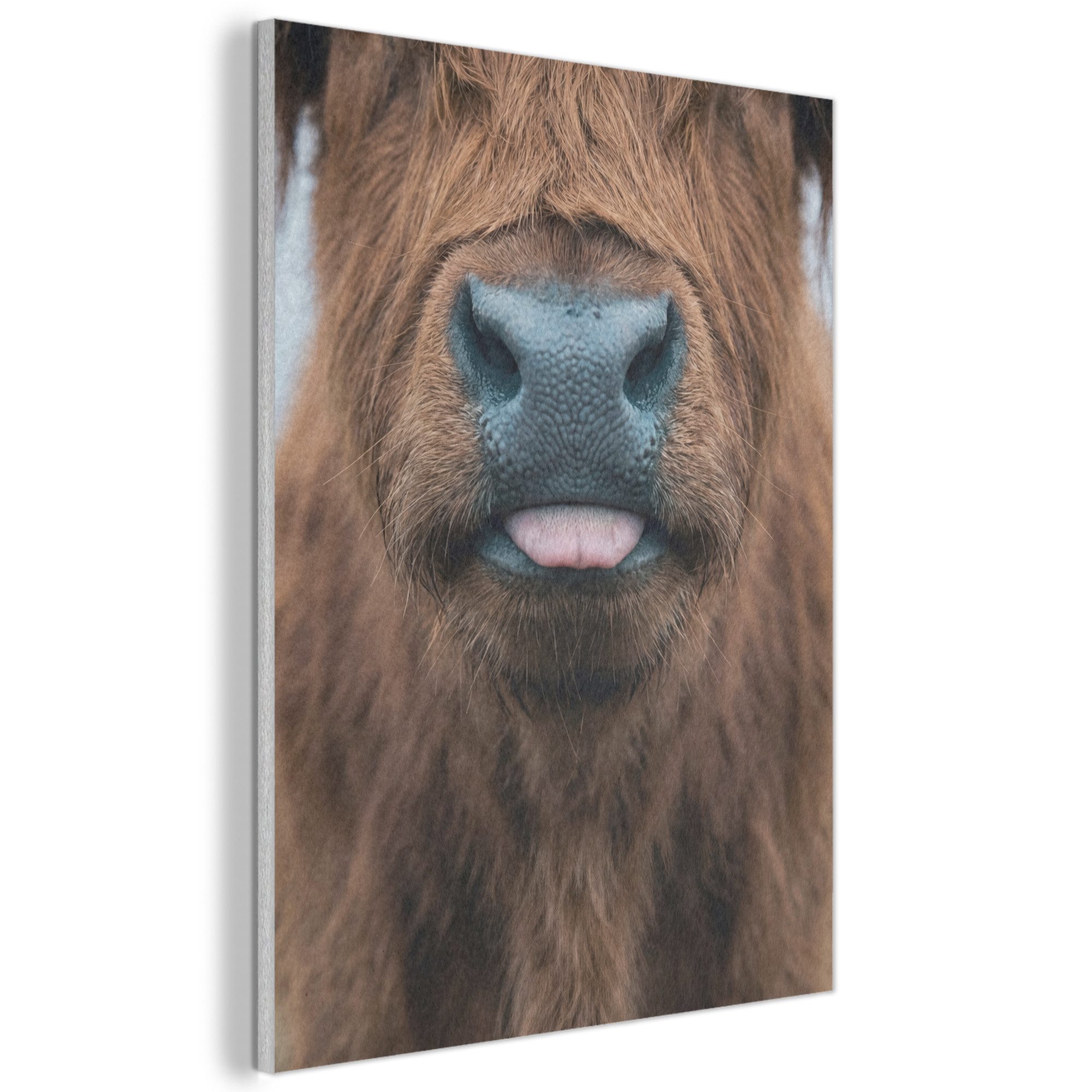 MuchoWow Gemälde Schottischer Hochländer - Nase - Braun, Fotodruck (1 St), Akustikpaneele, Wandpaneele, Schalldämmung, Akustikbilder 30x40 cm