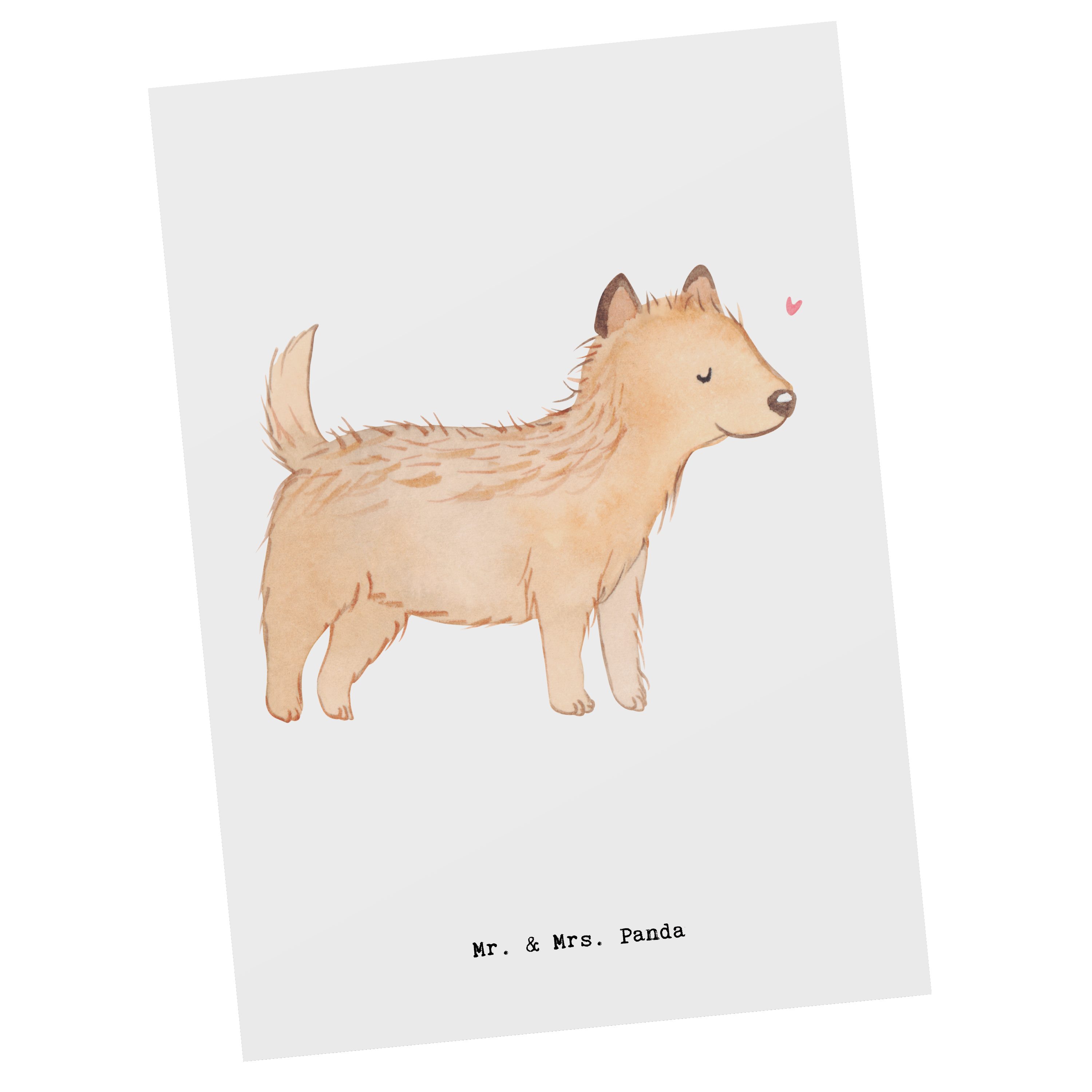 Mr. & Mrs. Panda Postkarte Cairn Terrier Moment - Weiß - Geschenk, Hundebesitzer, Karte, Einladu