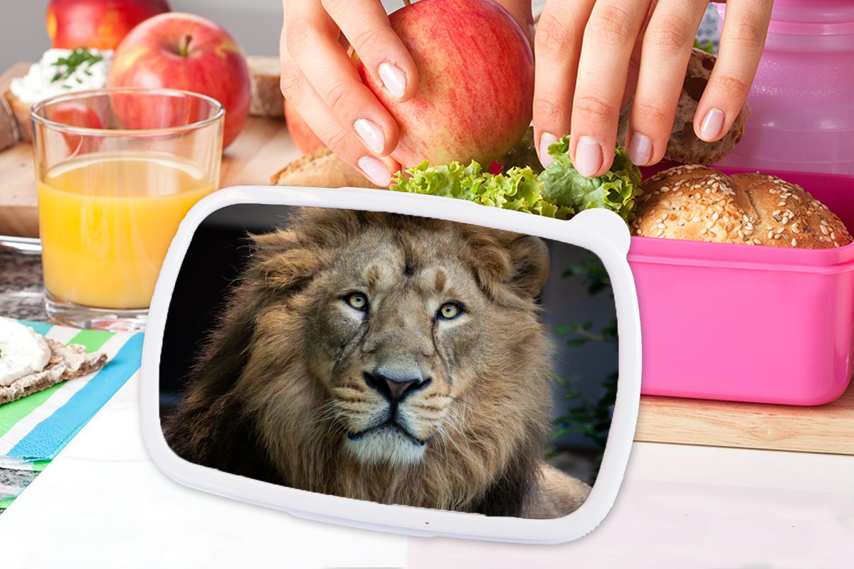 rosa Brotdose Snackbox, Löwen Erwachsene, - Farbe Kunststoff - Brotbox Porträt, Mädchen, Kunststoff, Kinder, für (2-tlg), MuchoWow Lunchbox