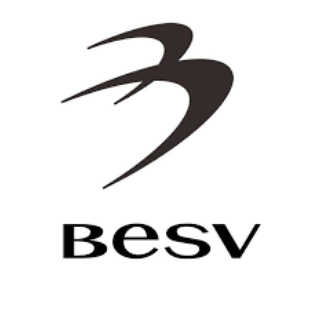 BESV