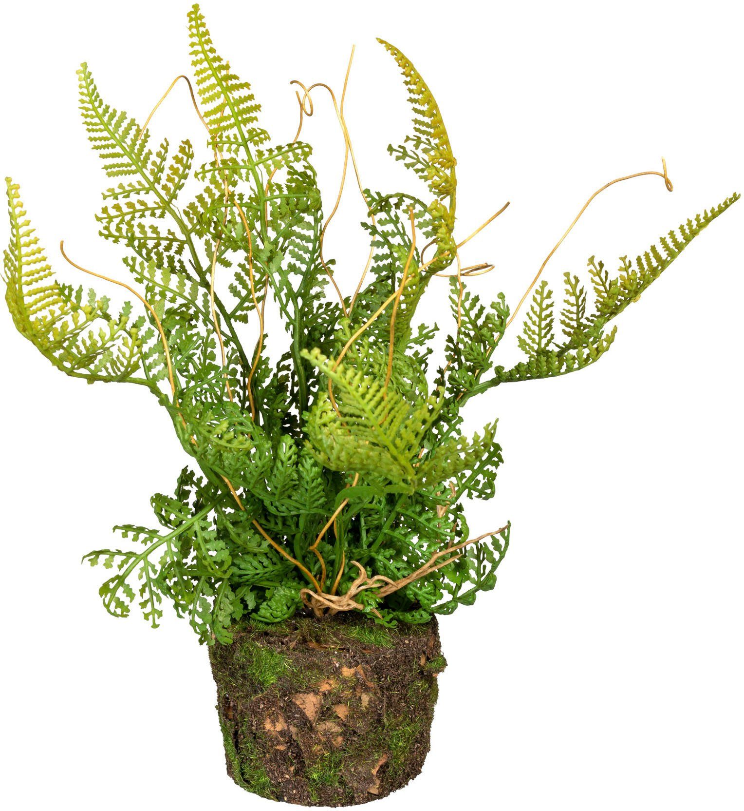 Künstliche Zimmerpflanze Set aus Farnpflanzen auf Wurzelballen Farn, Creativ green, Höhe 22 cm, 3er Set