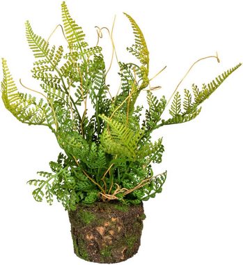 Künstliche Zimmerpflanze Set aus Farnpflanzen auf Wurzelballen Farn, Creativ green, Höhe 22 cm, 3er Set
