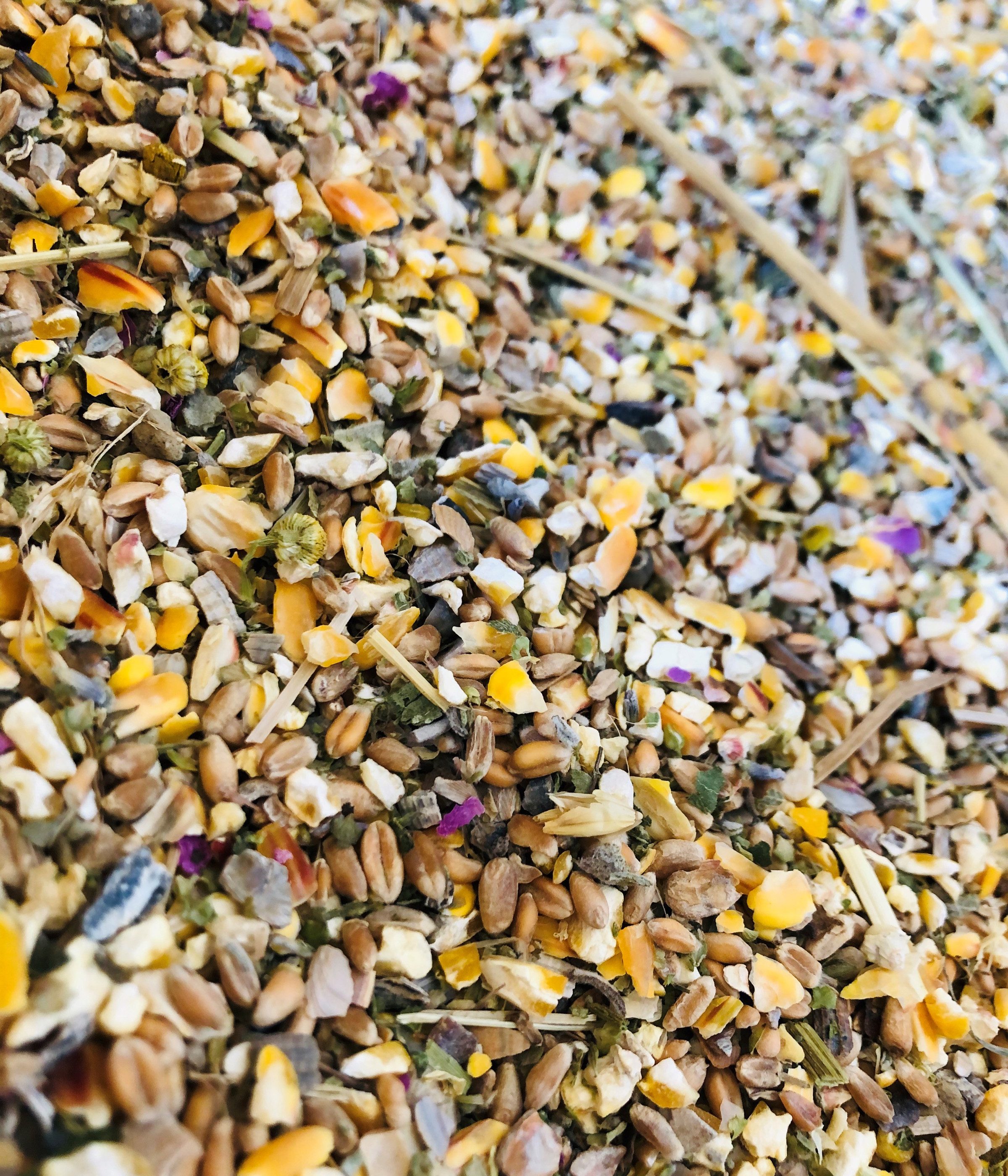 Dehner Best Nature Bio Geflügelfutter Vital, 10 kg, für: Hühner, Ziergeflügel, Hühnerfutter aus Vollkorngetreide