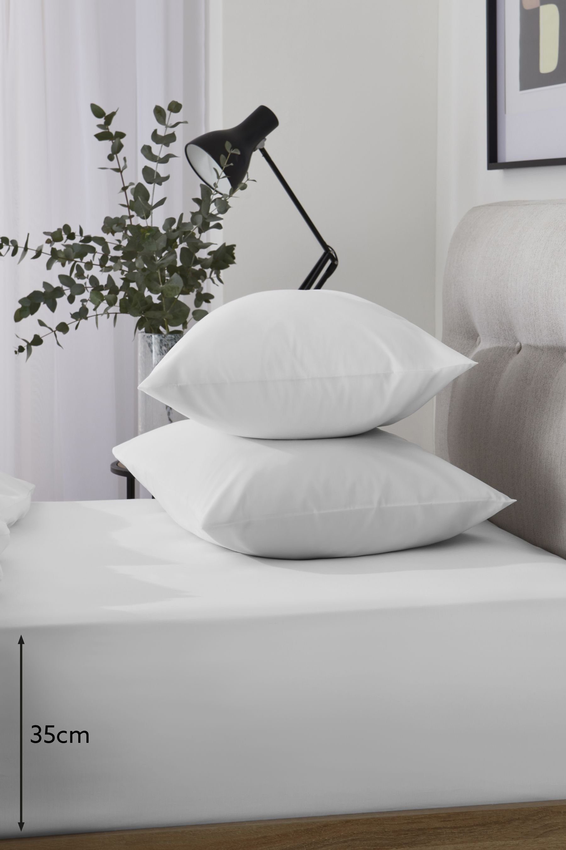 Next Spannbettlaken Laken aus kühlem TENCEL™, günstig online kaufen