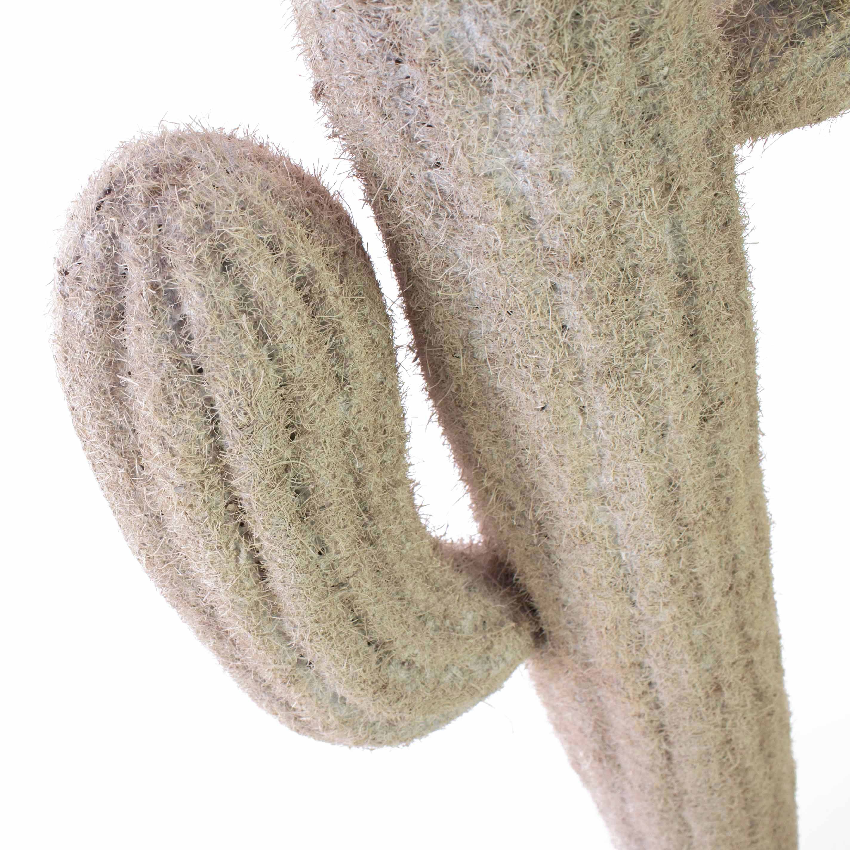Kunstkaktus Deko Mexikanischer Kaktus, naturweiß, auf Steckstab, 80cm Saguaro Kaktus, artplants, Höhe 80.0 cm