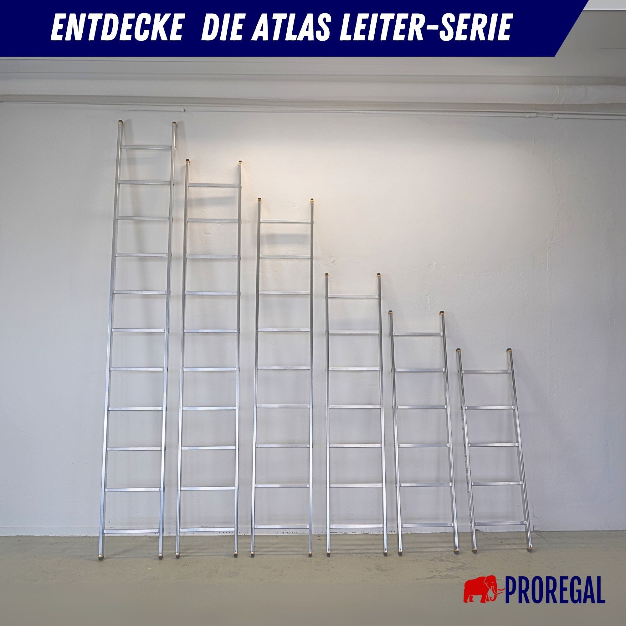 PROREGAL® Extension Ladder, Rung Ladder ATLAS with 7 rungs, 2.95m working height