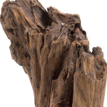 DESIGN DELIGHTS Skulptur TREIBHOLZ SKULPTUR "ROOTS", Teakholz, 40 cm, Wurzelholz Unikat