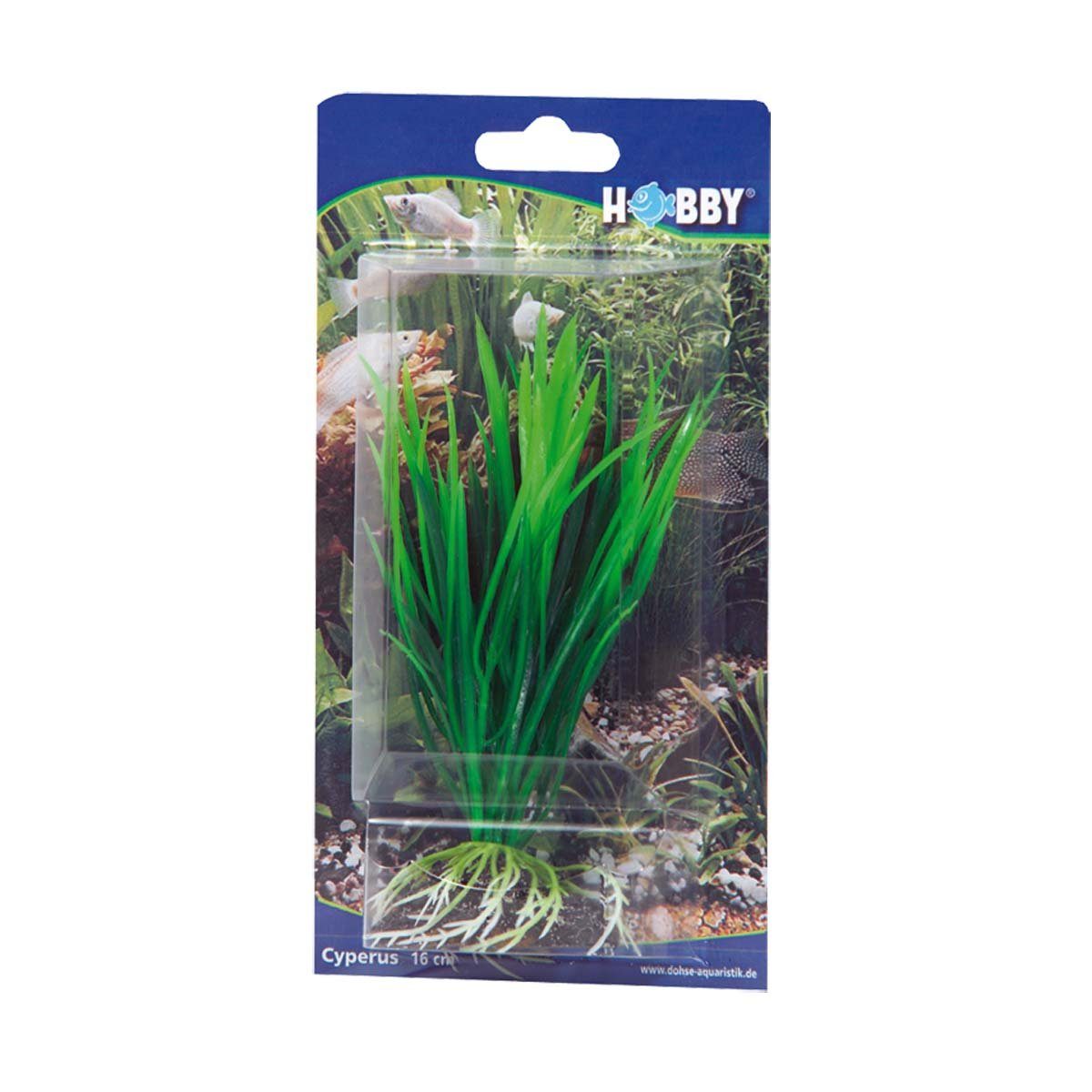 HOBBY Aquariendeko Cyperus, 16 cm