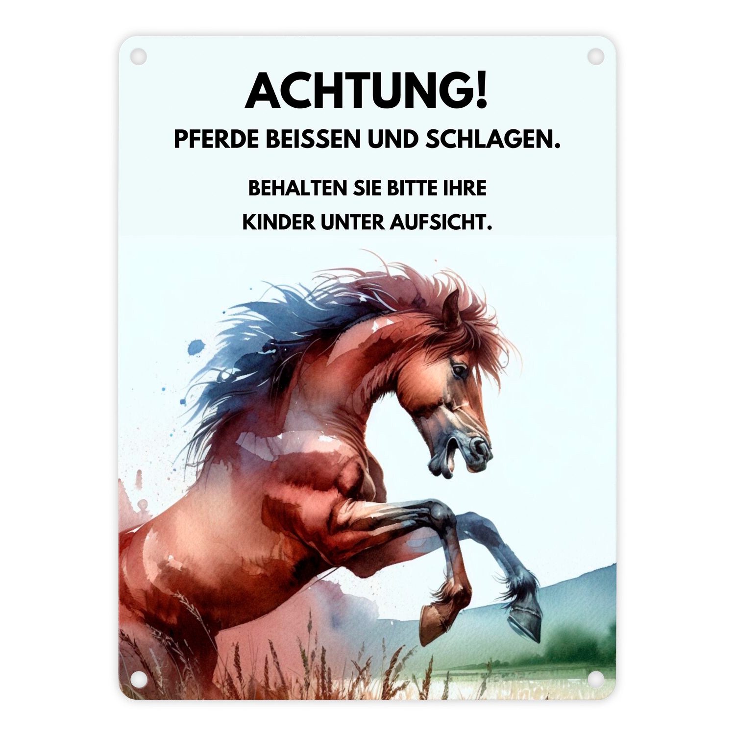 Metallschild Pferd Metallschild in 15x20 cm mit Spruch Vorsicht Pferde können und