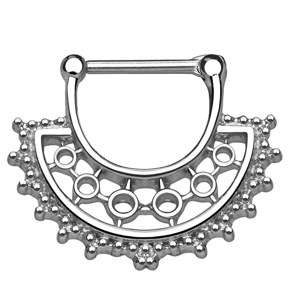 Nasenpiercing Piercing Septum Tragus Helix Hufeisen Horseshoe