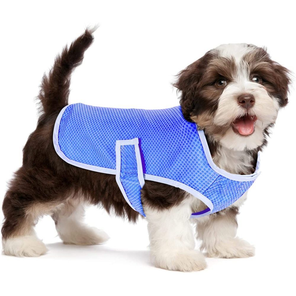 Jormftte Hundeweste »Hund Kühlung Weste, Lightweight cooler Jacke, Haustier  Weste Geschirr für kleine mittlere Hunde (Größe M)«, Kühlweste online  kaufen | OTTO