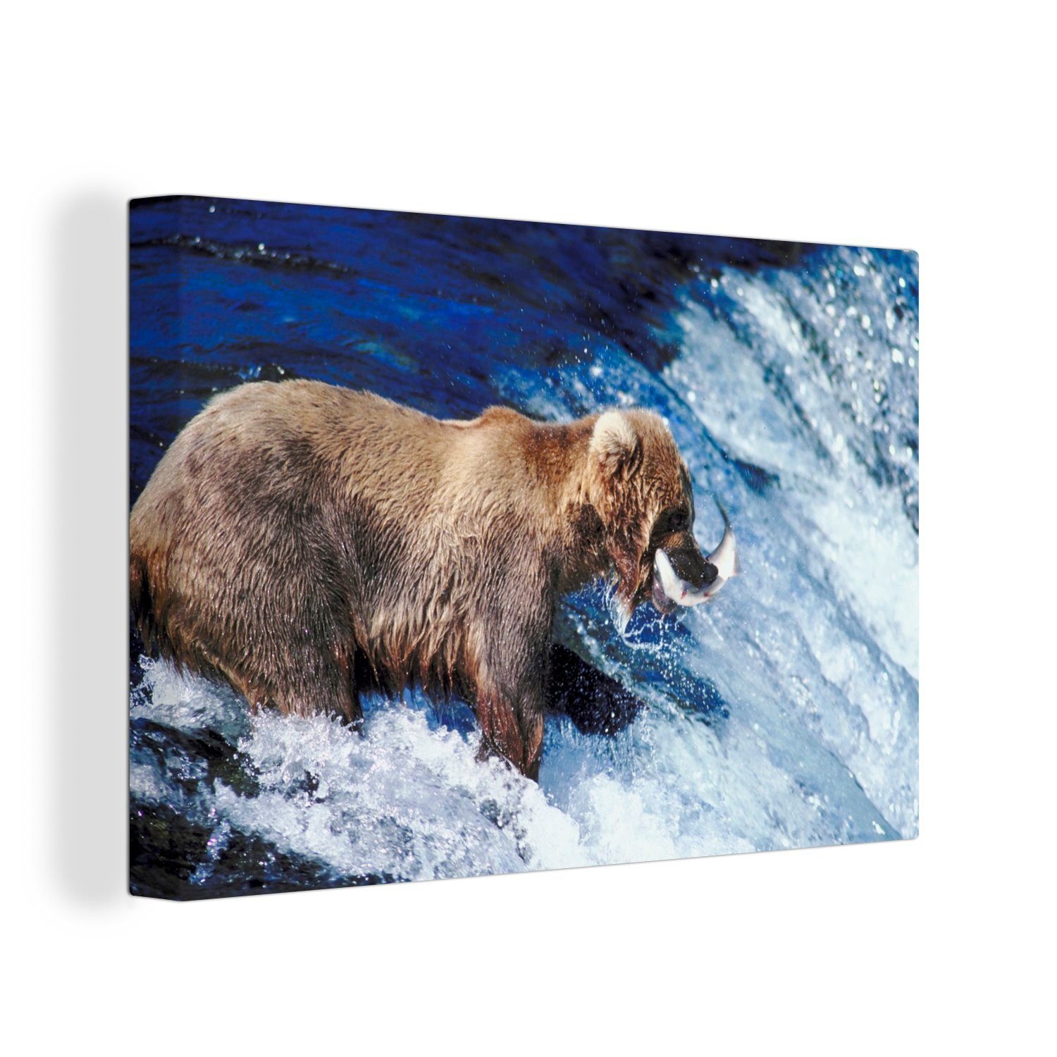 OneMillionCanvasses® Leinwandbild Bär - Fisch - Wasserfall, (1 St), Wandbild Leinwandbilder, Aufhängefertig, Wanddeko, 30x20 cm