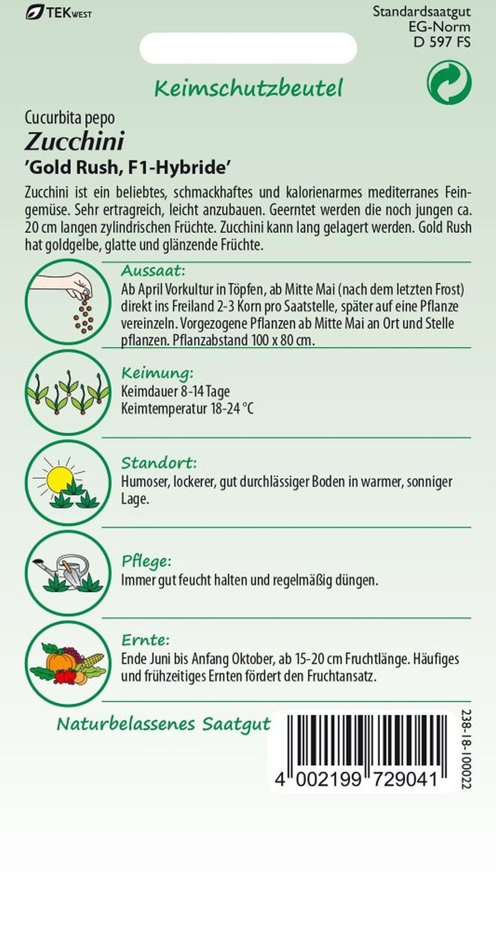 SAMEN PFANN Gemüsesamen Zucchini, Gold Rush F1 - Saatgut Zucchini-Samen Samen, Cucurbita pepo