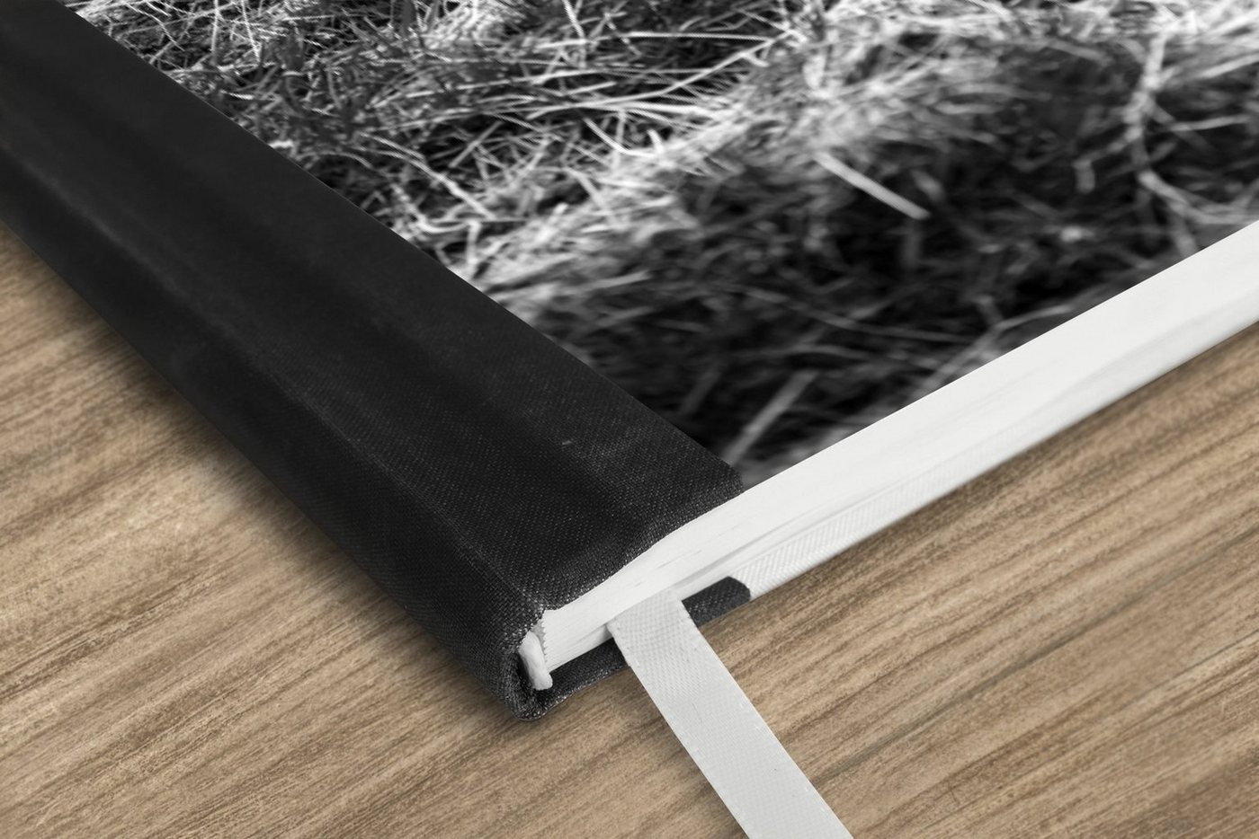 Thumbnail - MuchoWow Notizbuch Ruhender schottischer Highlander - schwarz und weiß, Notebook, Notizblock a5, Tagebuch, Journal Linie...