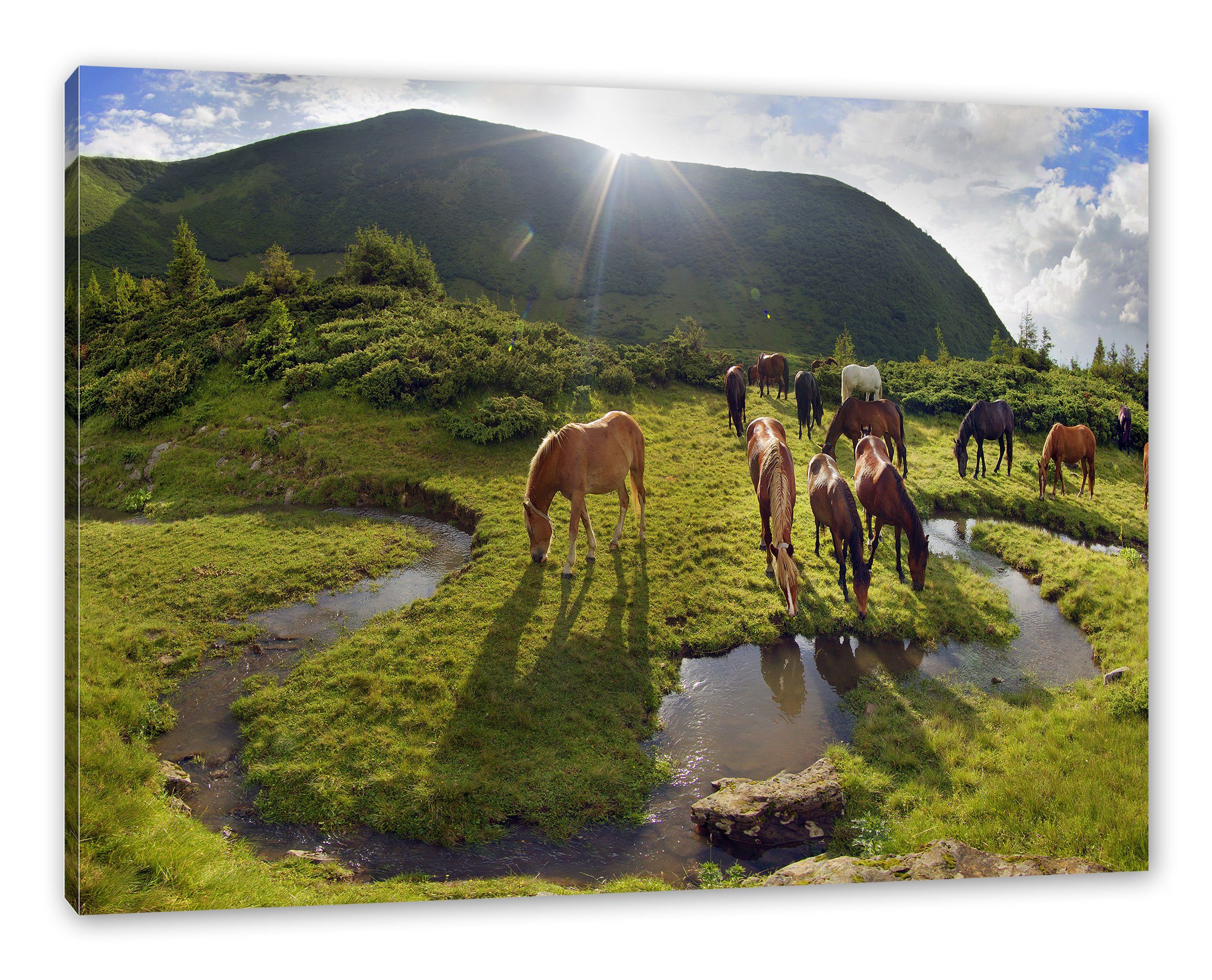 Pixxprint Leinwandbild Pferde auf Wiese, Pferde auf Wiese (1 St), Leinwandbild fertig bespannt, inkl. Zackenaufhänger