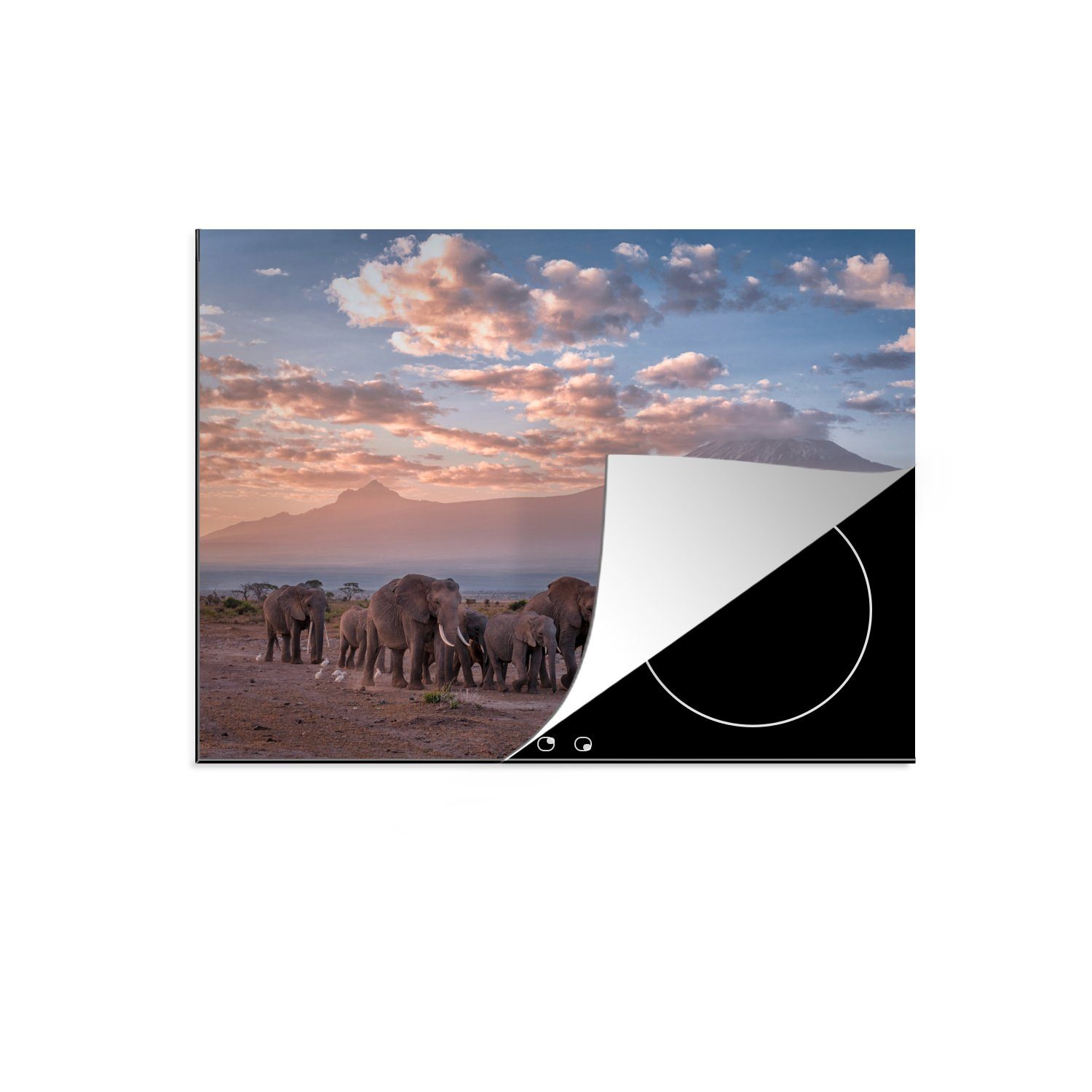 Herdblende-/Abdeckplatte die Abend Landschaft cm, 59x52 Tiere - Elefant Ceranfeldabdeckung Vinyl, für tlg), - (1 MuchoWow Induktionsmatte küche, - Savanne, -