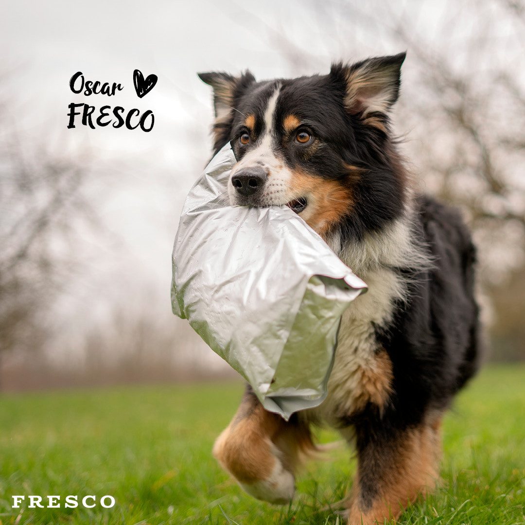 Fresco Dog TrockenBarf Hundefutter Trocken Pute, 1kg / 2,5kg / 5kg, Trockenfutter für: Hunde, Getreidefrei, 80% Frischfleisch & ohne Zusätze