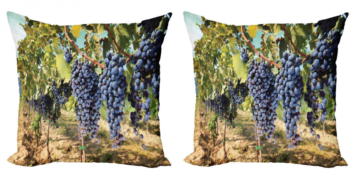 Kissenbezüge Modern Accent Doppelseitiger Digitaldruck, Abakuhaus (2 Stück), Traube Reihen von Wein Früchte in Italien