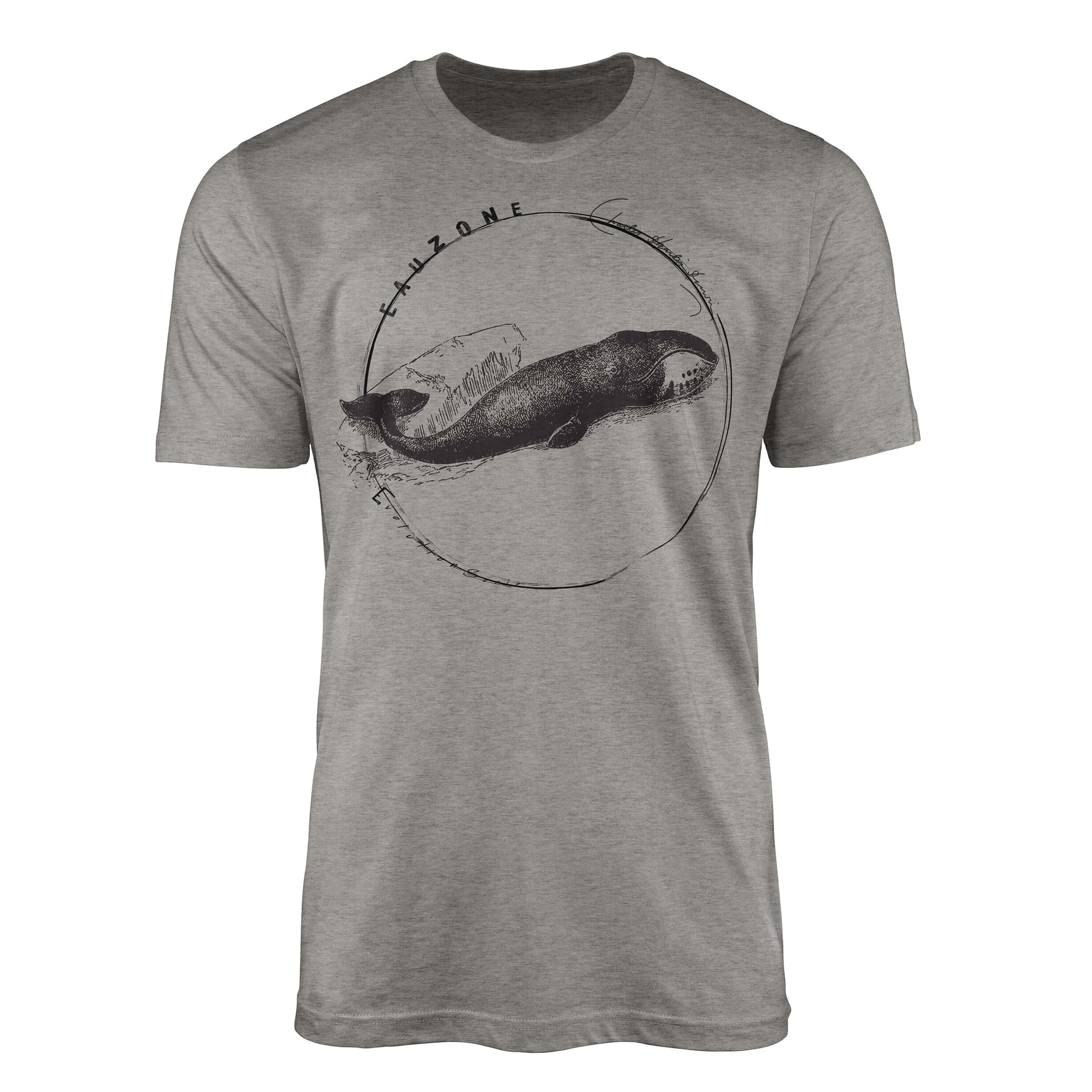 T-Shirt Sinus T-Shirt Herren Ash Evolution Art Grönlandwal