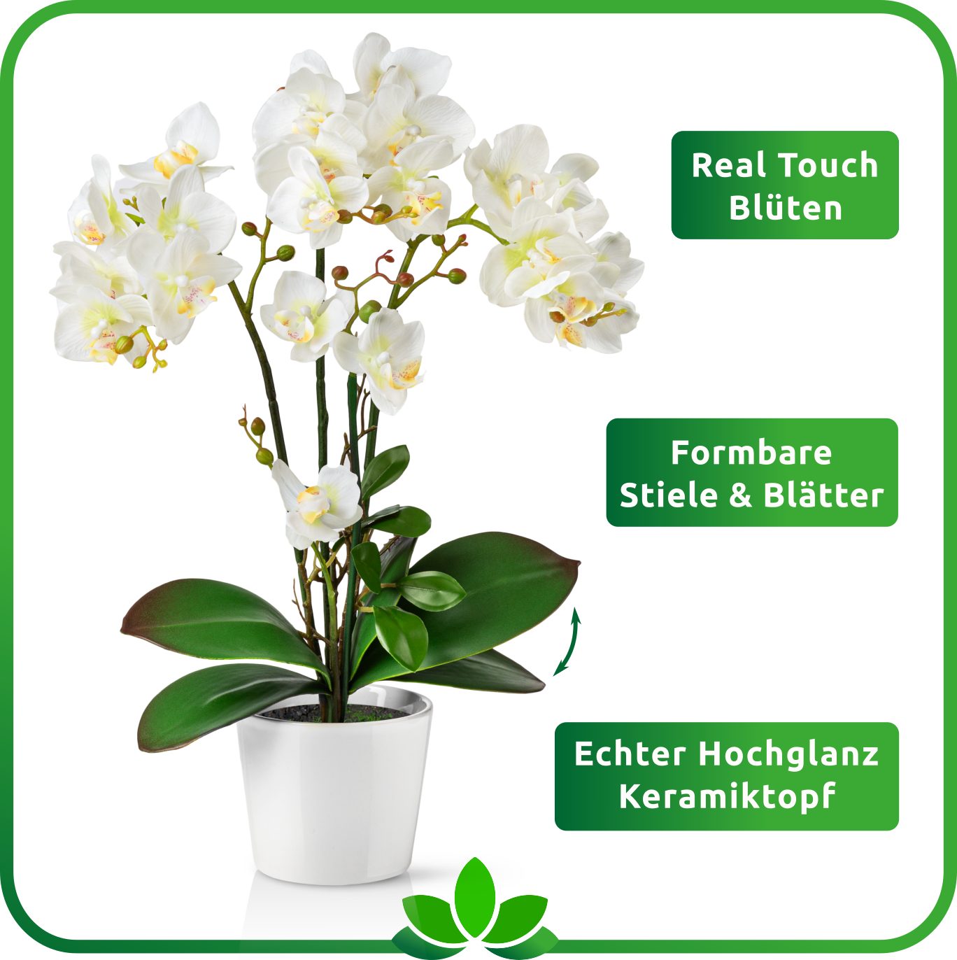 Kunstorchidee PASCH® Orchidee künstlich wie echt (46cm) in Hochglanz-Keramiktopf Orchidee, PASCH, Real Touch – Bild 3 von 5