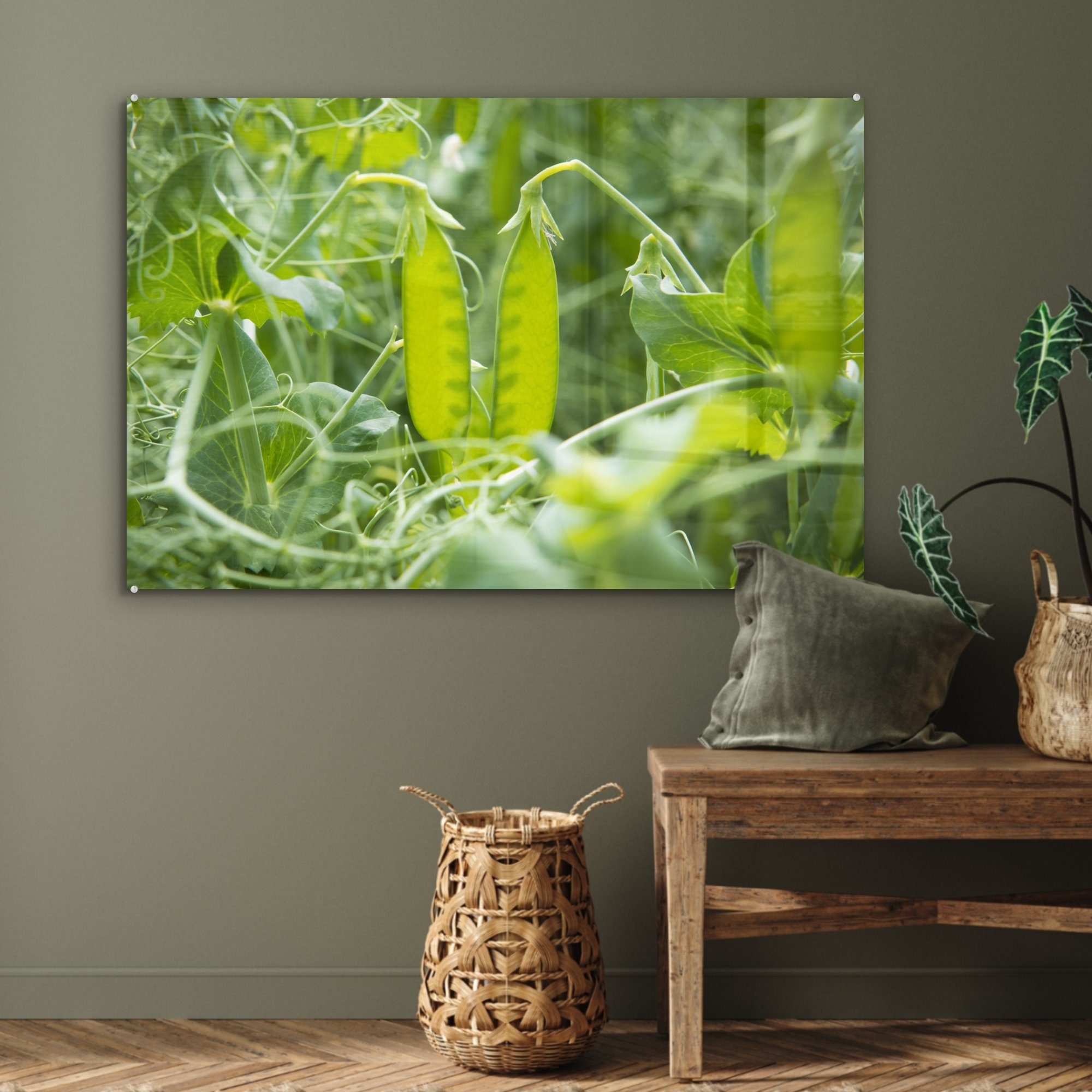 - Bohnen, - Wohnzimmer Gemüse Schlafzimmer MuchoWow St), Acrylglasbild Acrylglasbilder & (1 Grün