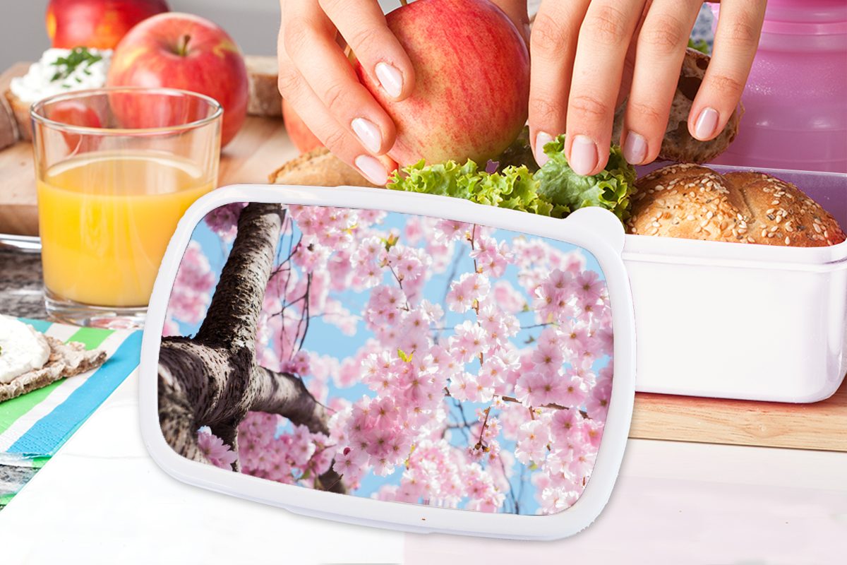 Brotbox - Mädchen Lunchbox Erwachsene, Sakura für und Baum, - Jungs weiß (2-tlg), und Kunststoff, für MuchoWow Blumen Kinder Brotdose,