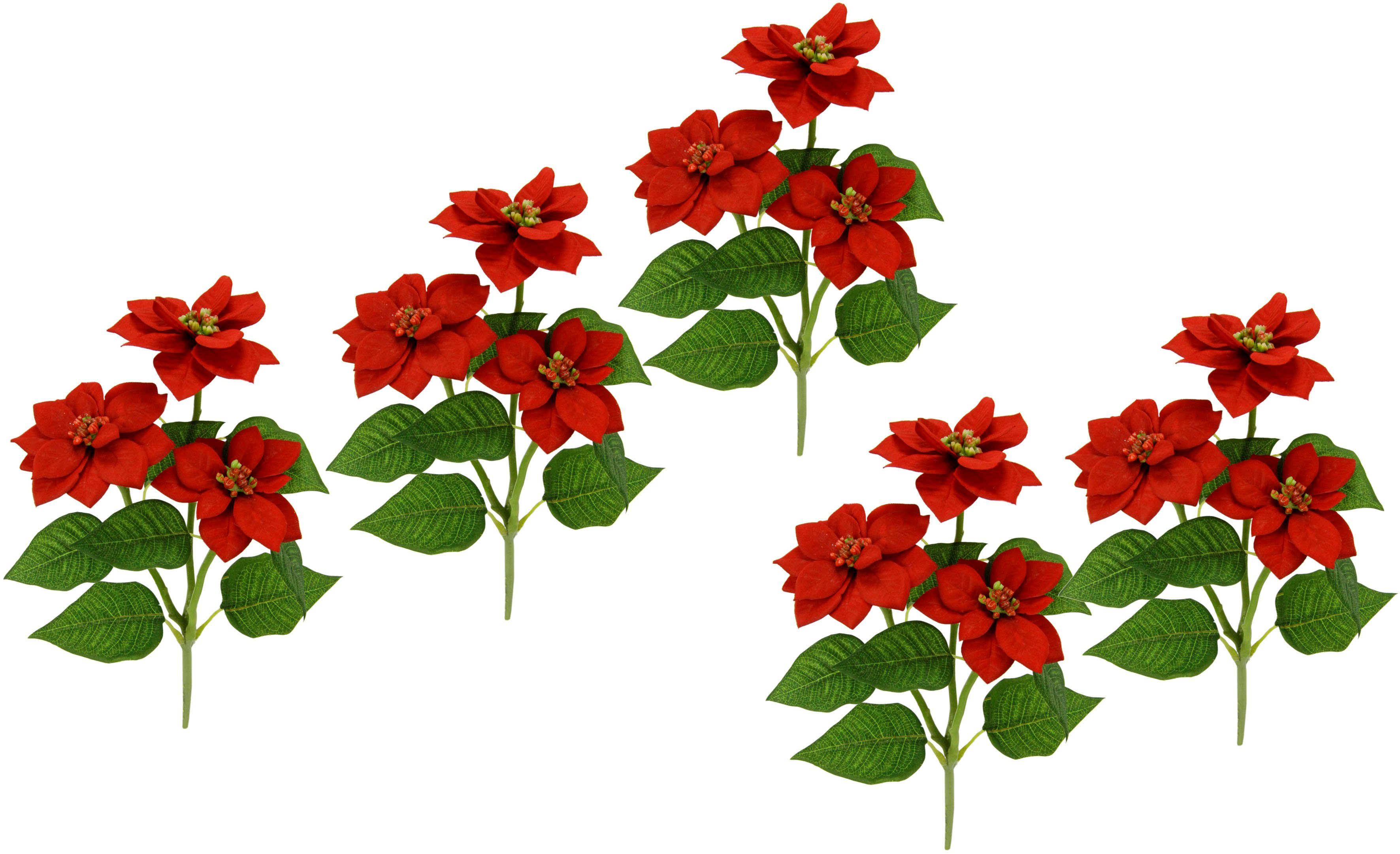 Kunstblume Poinsettie, I.GE.A., Höhe 28 cm, Künstlicher Poinsettiazweig, 5er Set rot