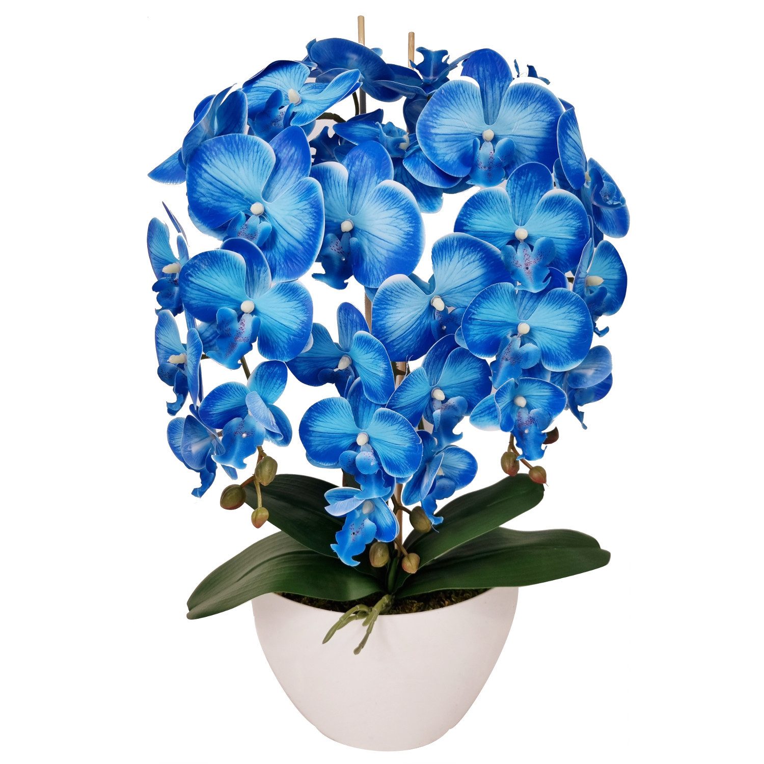 Kunstorchidee Orchidee, damich, Höhe 60 cm, Künstliche Orchideenblumen wie günstig online kaufen