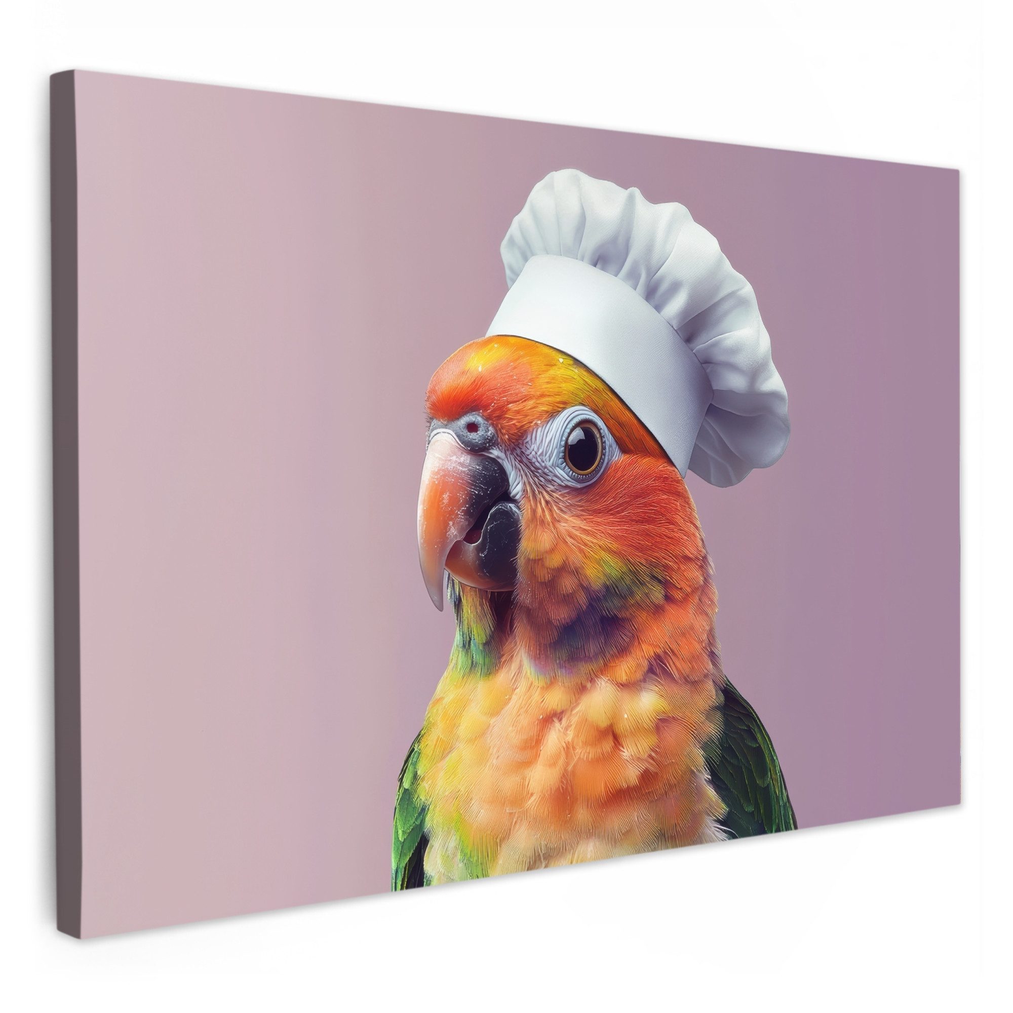 OneMillionCanvasses® Leinwandbild Papagei - Kochmütze - günstig online kaufen