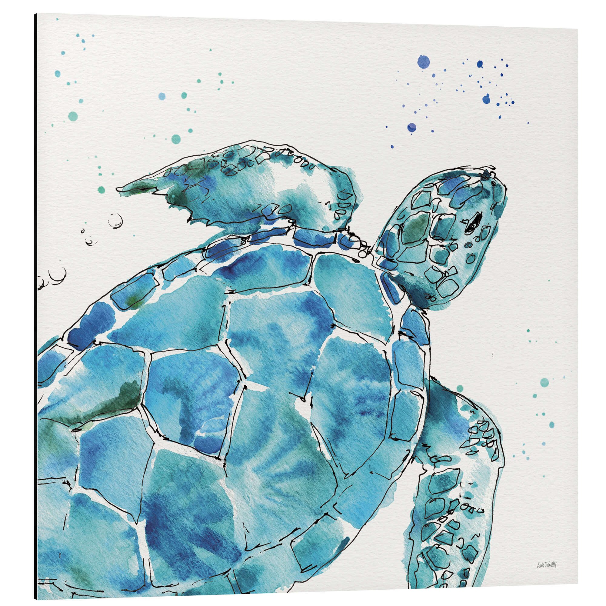 Posterlounge Wandbild Schildkröte IX, Anne Tavoletti, erhältlich als Poster, Leinwandbild, Wandsticker oder Acrylglasbild
