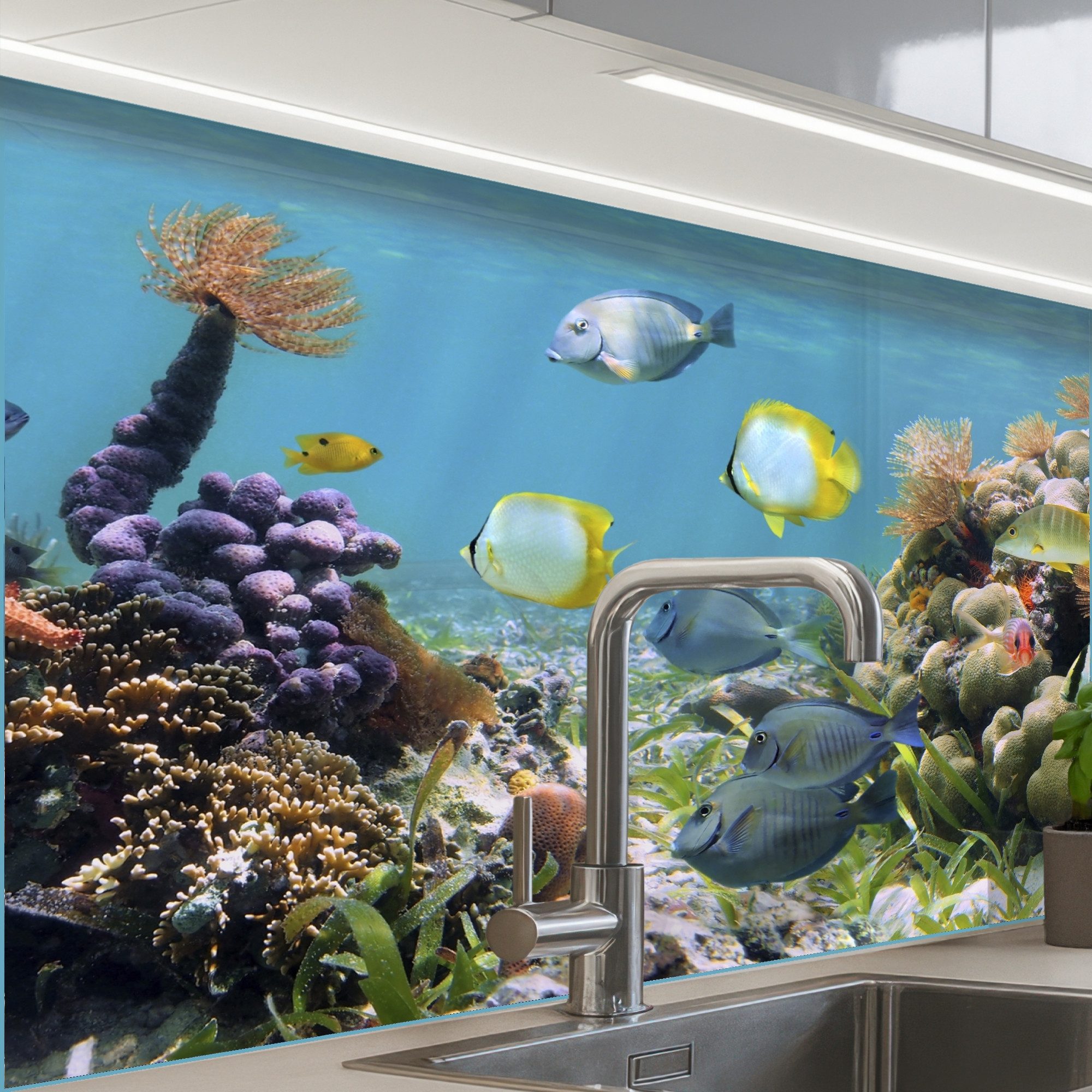 KitchenYeah Küchenrückwand selbstklebend Wasser - Korallen - Fische - Licht, (1-tlg), Spritzschutz, Küche, Rückwand, Küchenwand, Küchenfront, 80x60 cm