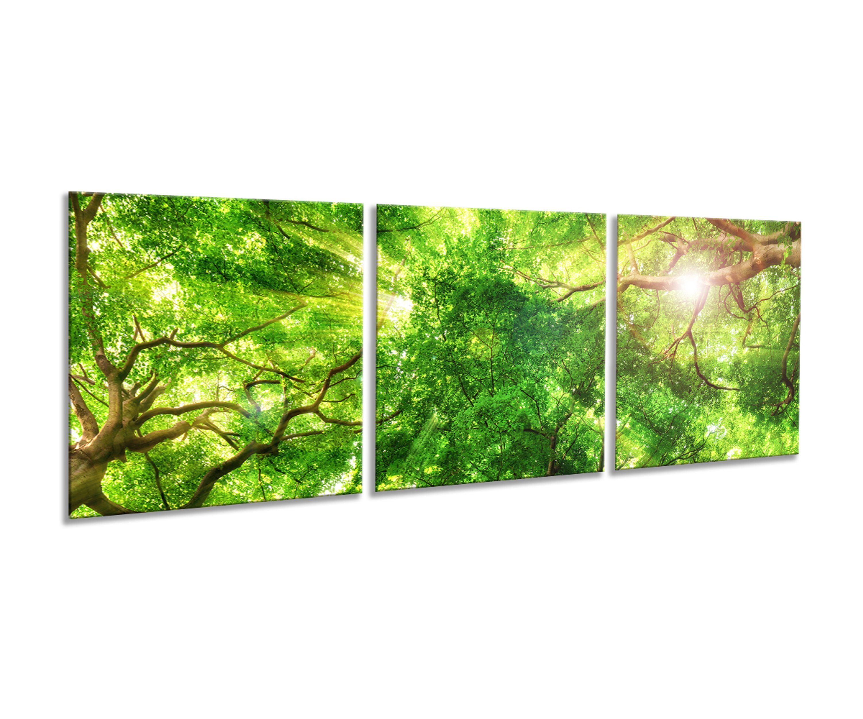 artissimo Glasbild mehrteiliges Glasbild 150x50cm Bild aus Glas 3-Teiler Wald Bäume grün