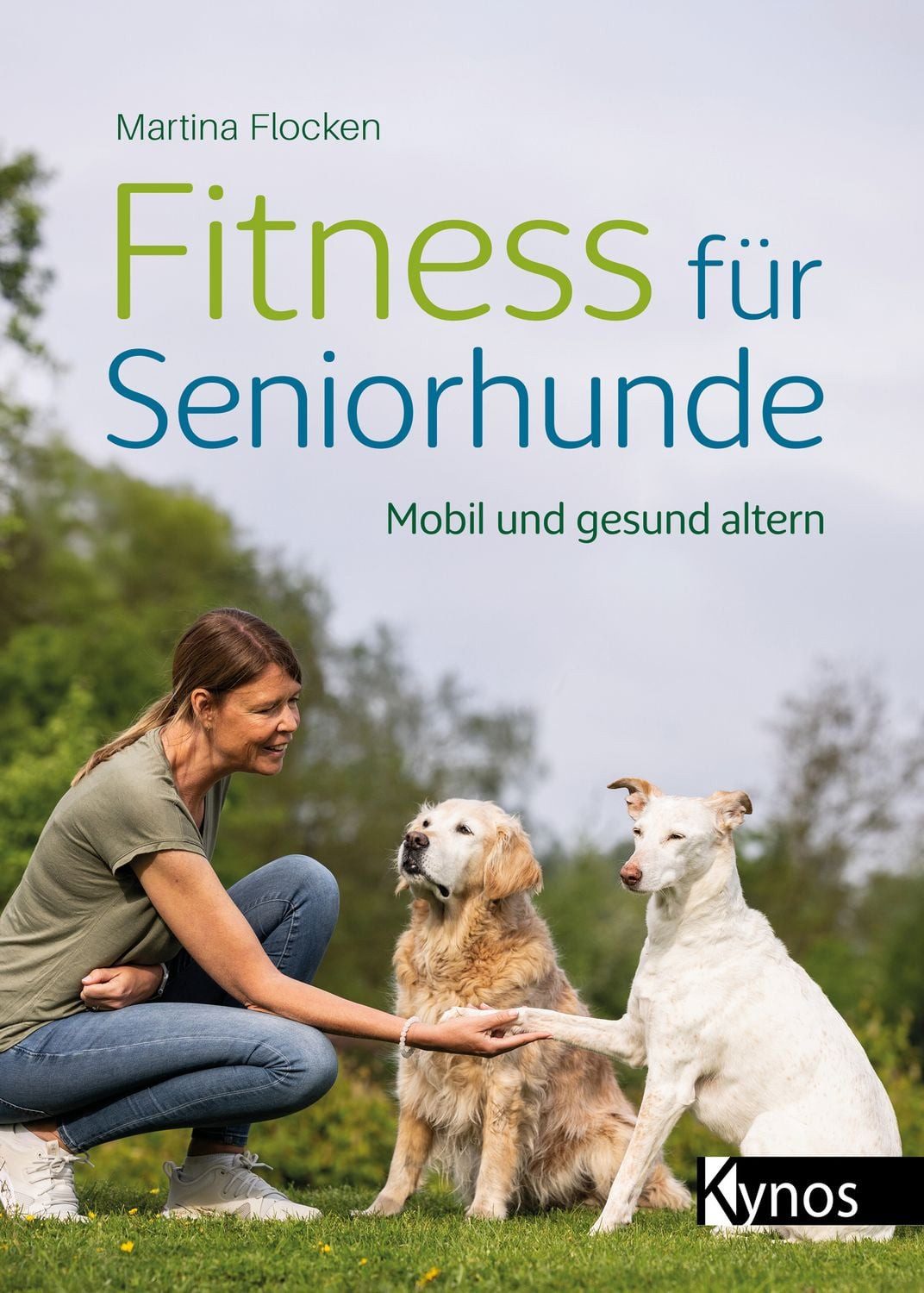 Fitness für Seniorhunde Mobil und gesund altern