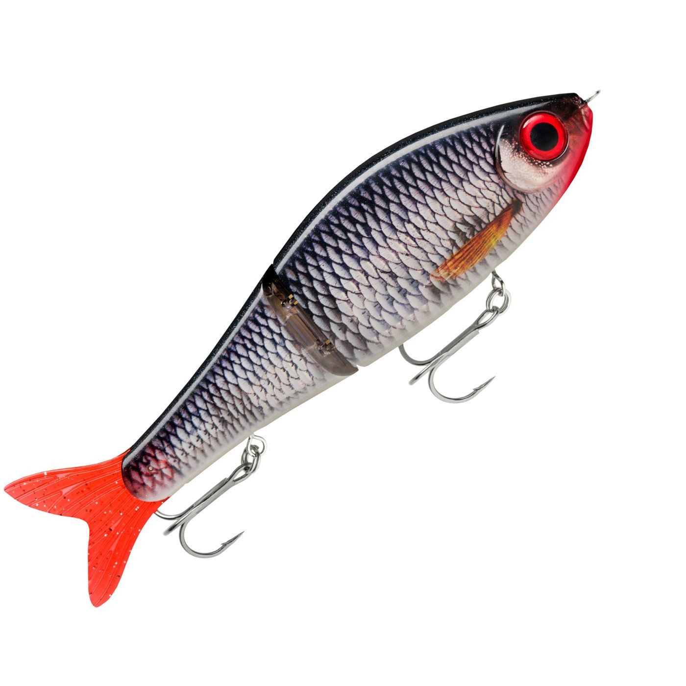 Live Roach