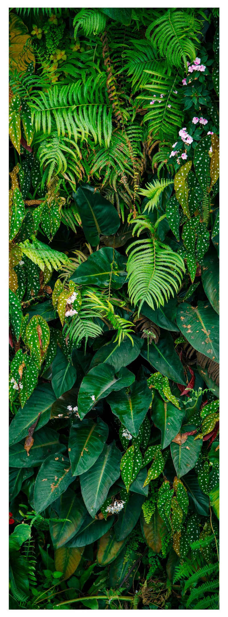 wandmotiv24 Türtapete Wand aus Blättern, Urwald, Natur, Grün, glatt, Fototapete, Wandtapete, Motivtapete, matt, selbstklebende Dekorfolie