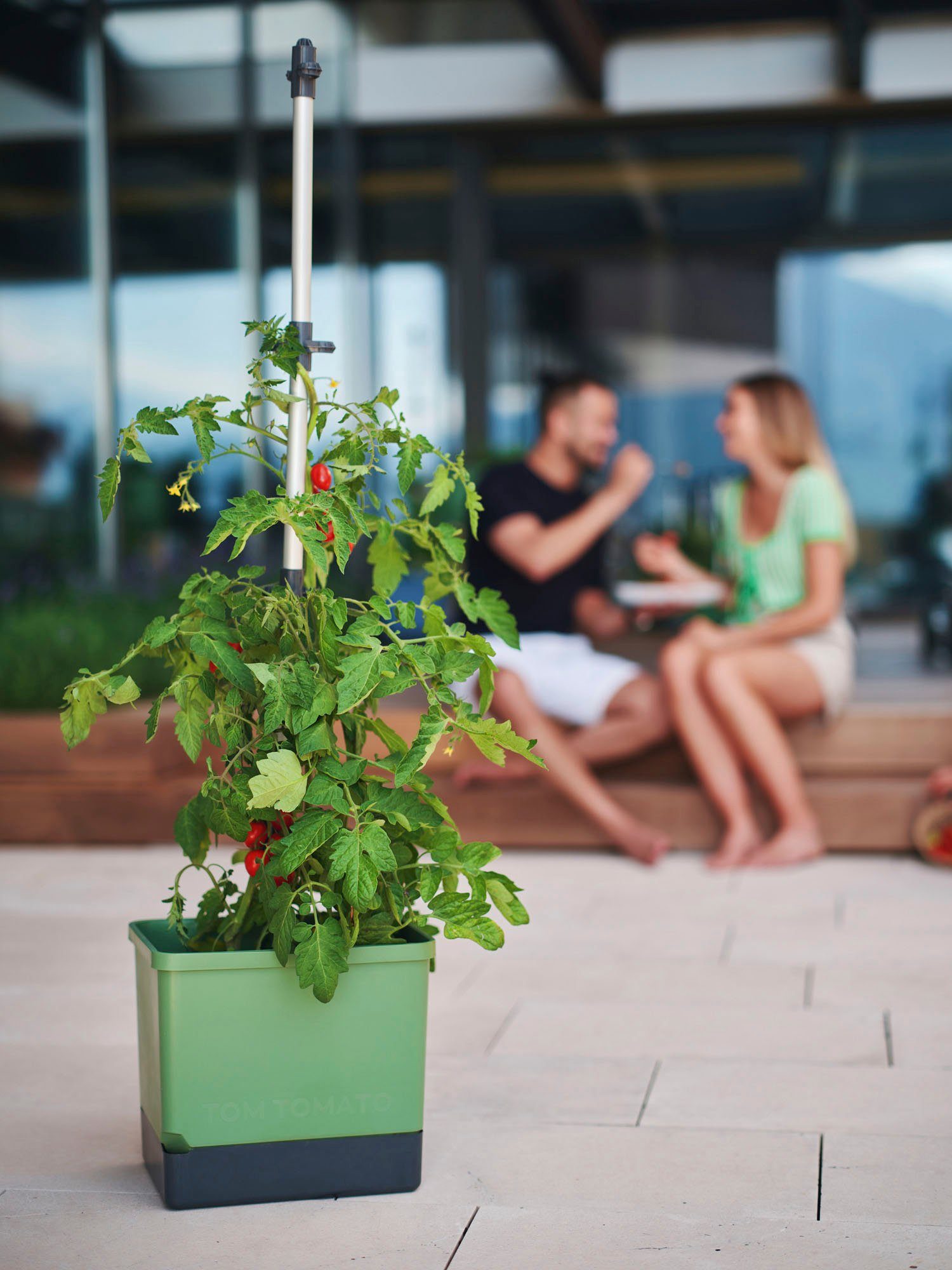 Gusta Garden Pflanzkübel TOM TOMATO mit Wassertank Tomatentopf, dunkelgrün & Rankhilfe