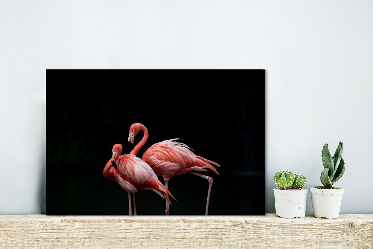 OneMillionCanvasses® Leinwandbild Zwei Flamingos Wanddeko, cm schwarzem mit 30x20 Aufhängefertig, Hintergrund, (1 Leinwandbilder, St), Wandbild