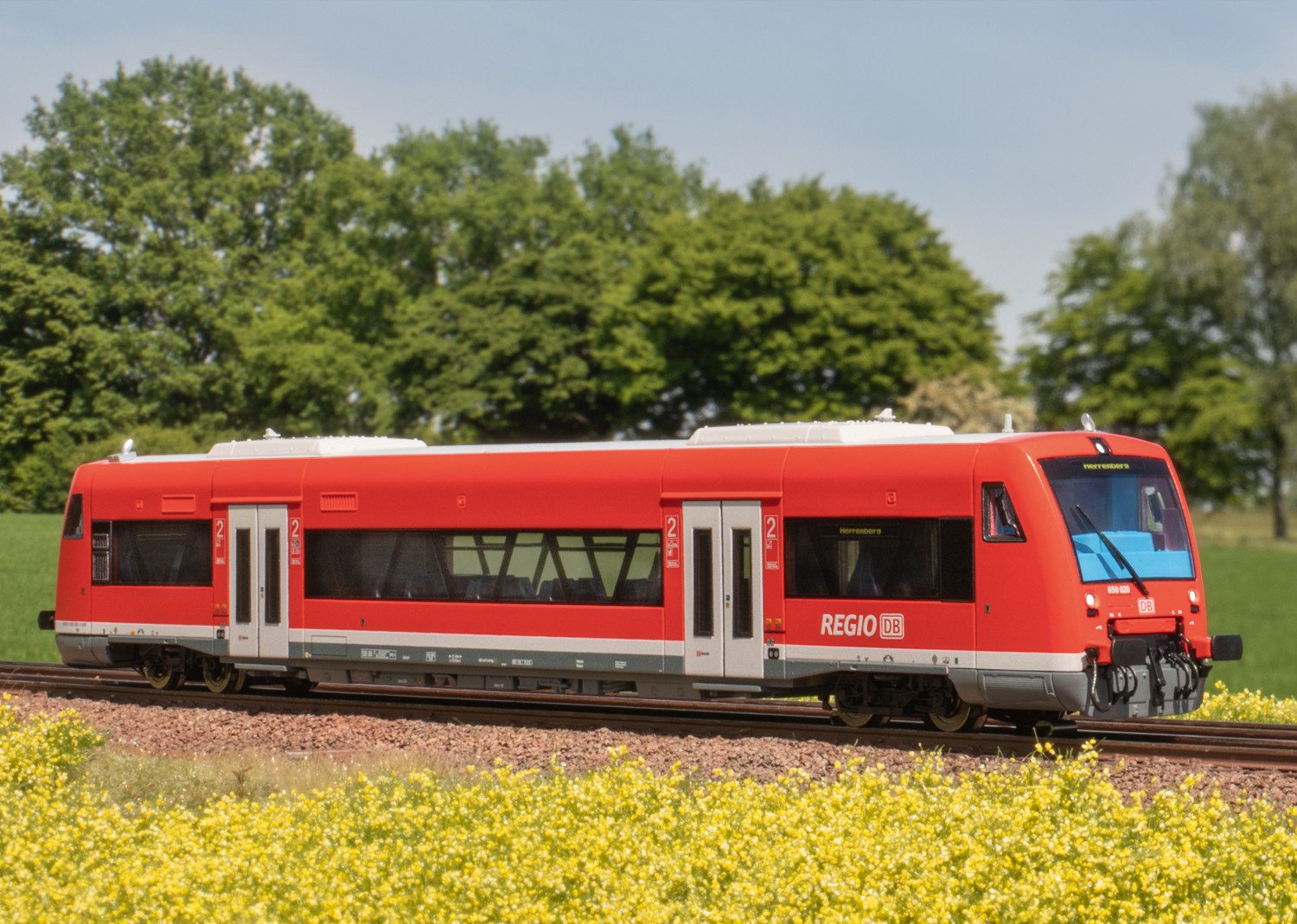 Märklin Personenwagen Dieseltriebwagen Regio Shuttle RS1, Baureihe 650 - 36965, Spur H0, mit Sound und Beleuchtung; Made in Europe