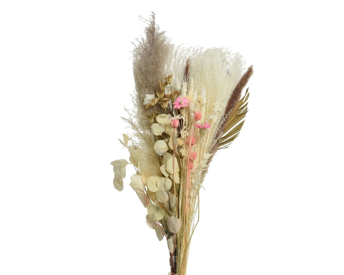 Trockenblume, Decoris season decorations, Trockenblumen Strauß Blumen und Gräser Mix 80cm beige 1 Bund | Trockenblumen